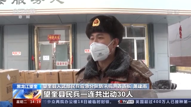 军人本色黑龙江望奎民兵及退伍军人积极投身抗疫一线
