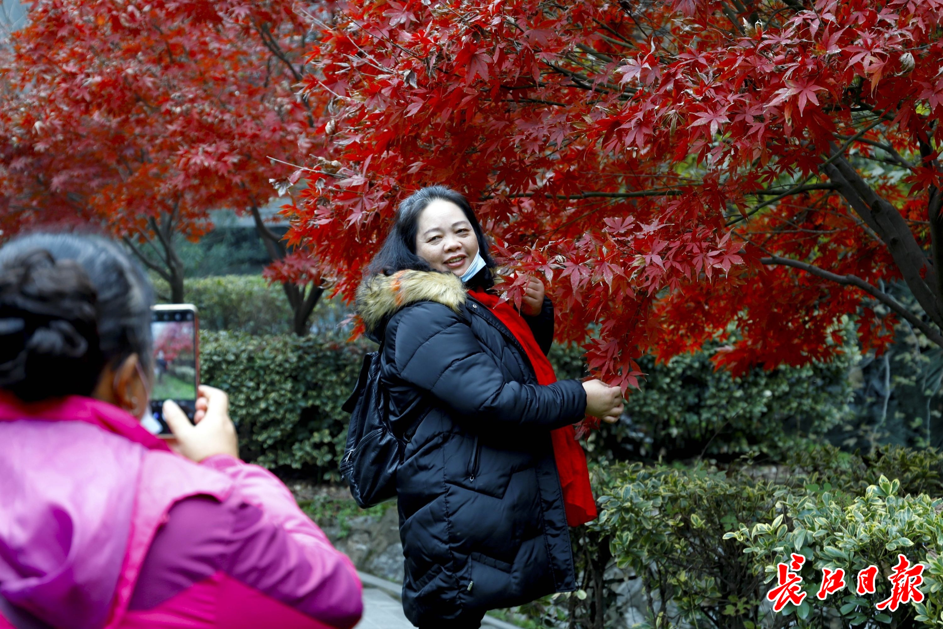 别慌着穿那么厚 下雪之前最高温14 冷空气周日才到