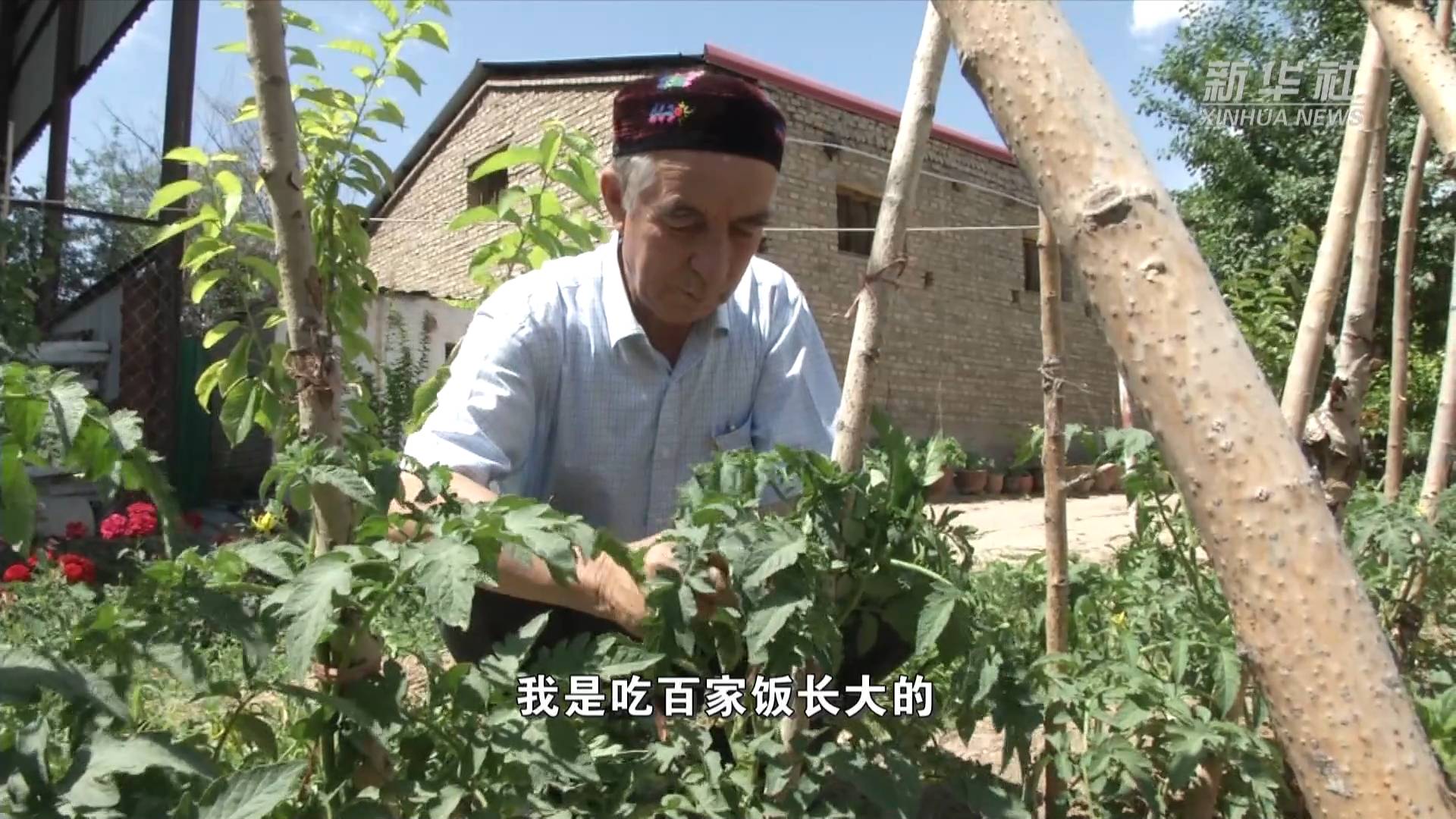 七一勋章获得者退休不退岗的老支书买买提江吾买尔