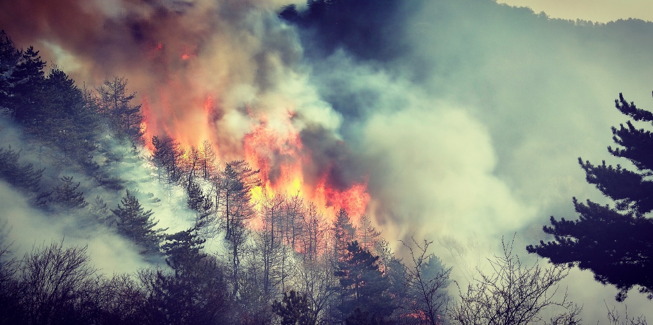山西榆社山火持续扑救中千名消防员奋战在前线