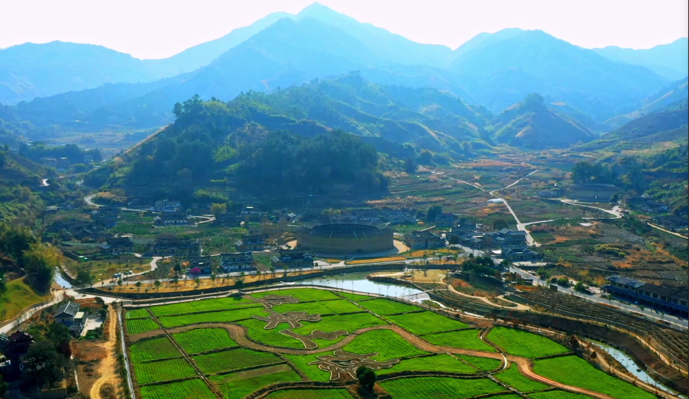 瞰中国福建华安土楼黄花开百亩