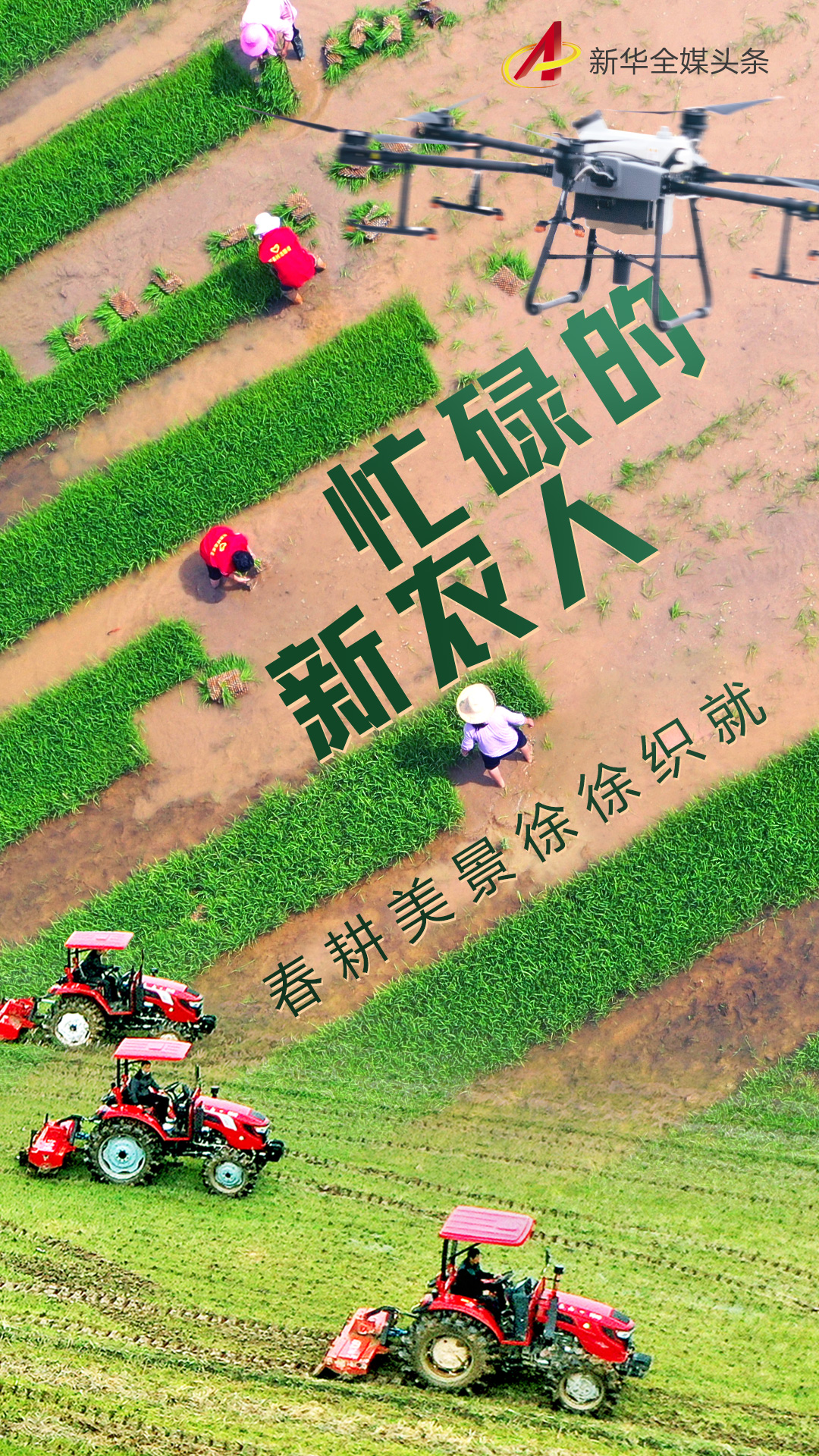 海报:忙碌的新农人 - 封面新闻
