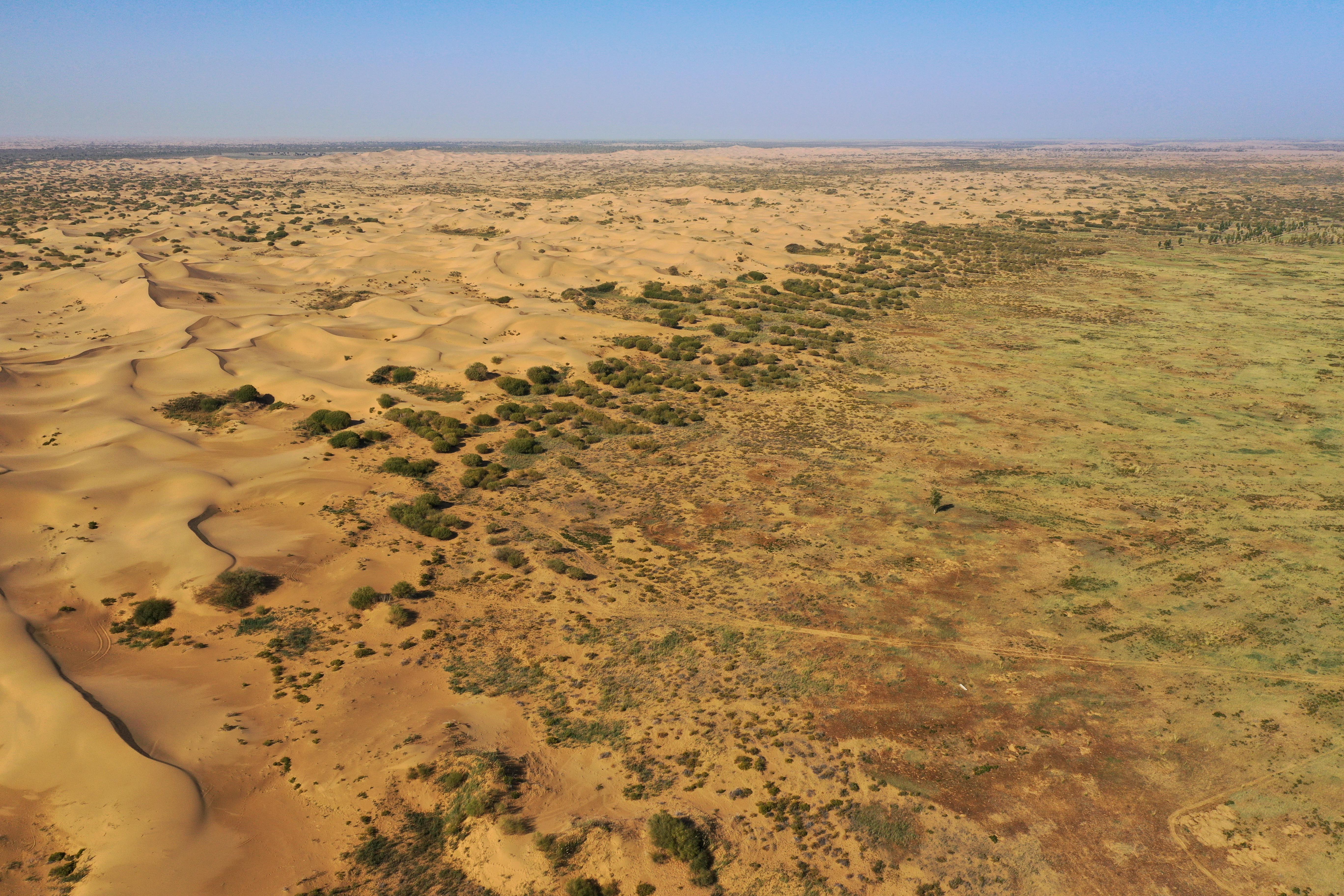 生态向好产业精库布其沙漠实现绿富同兴