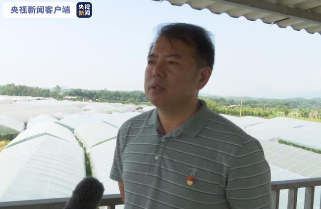 广西全州县龙水镇党委书记 伍明桂:我们龙水镇芦笋种植大户蒋通国在镇