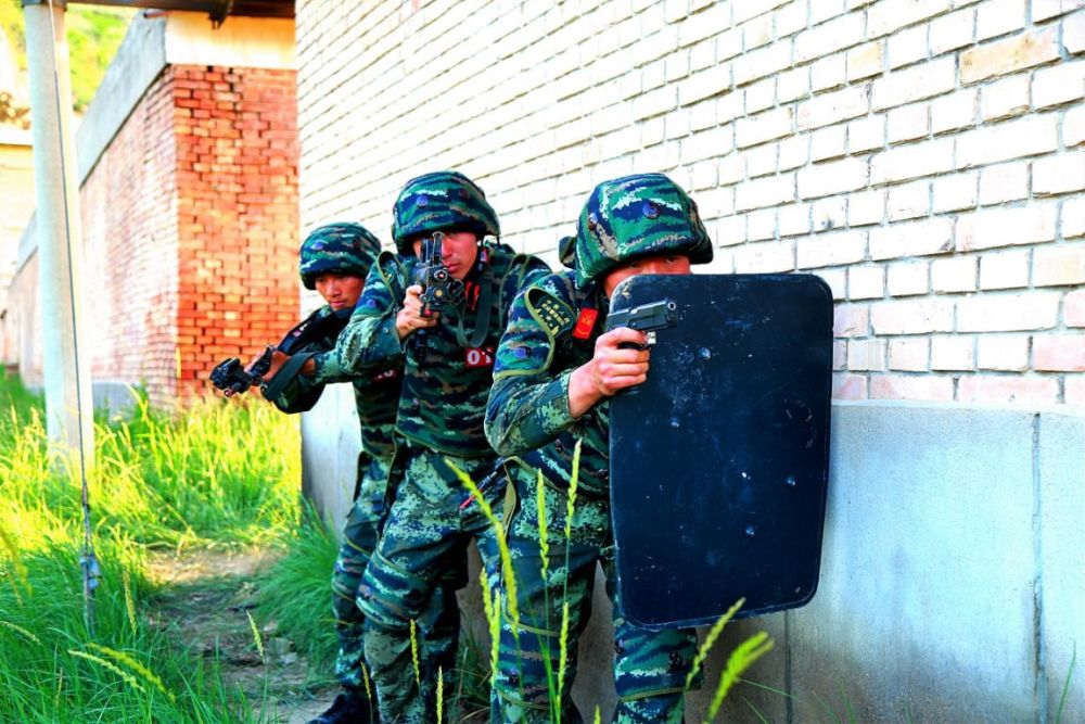 高清大图丨武警甘肃总队平凉支队火热开训