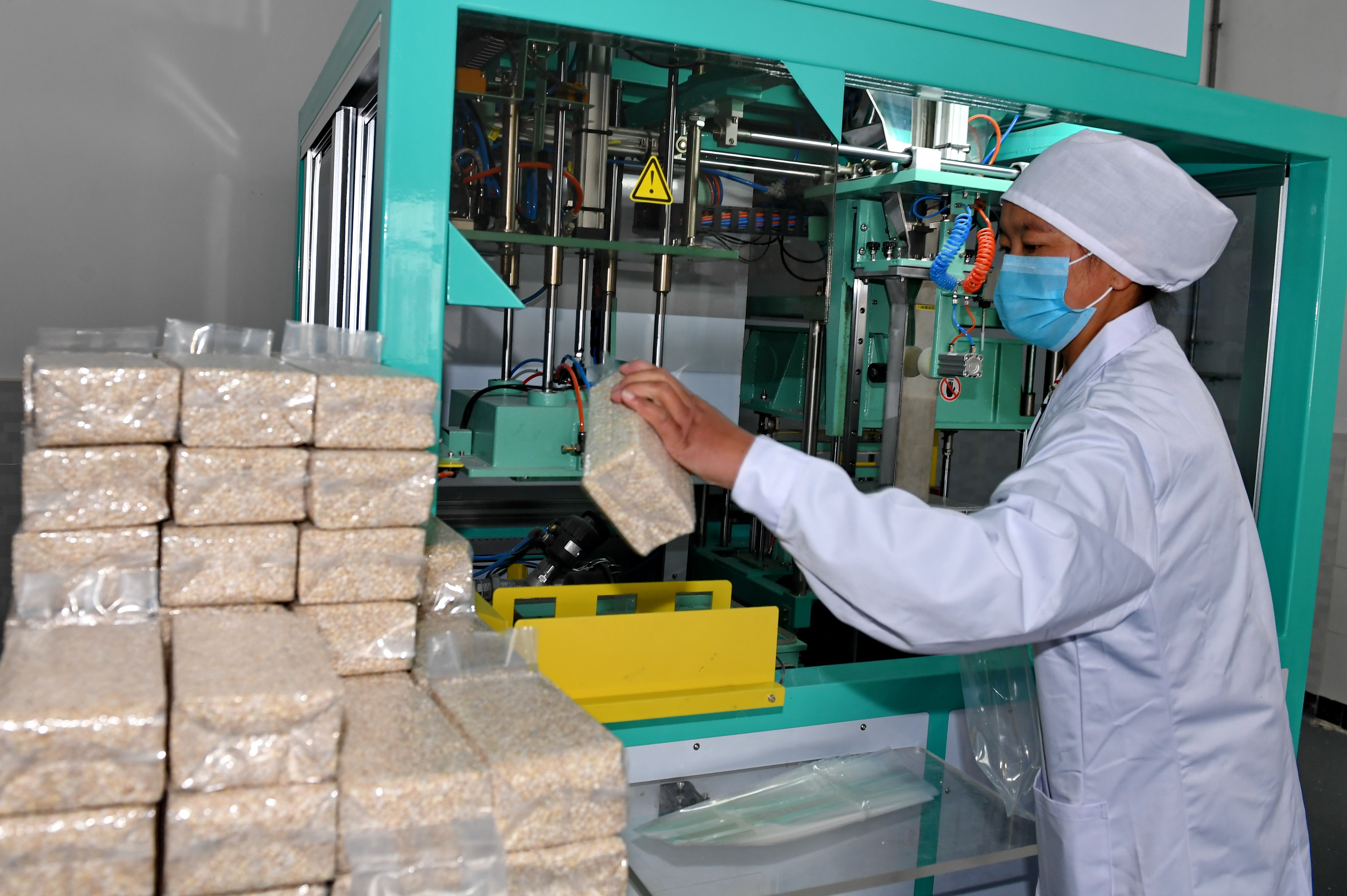 青稞加工厂的工人正在将青稞米装袋(2017年4月27日摄).