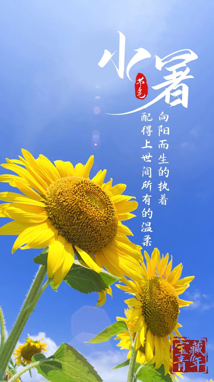 一转眼就已经是炎夏了