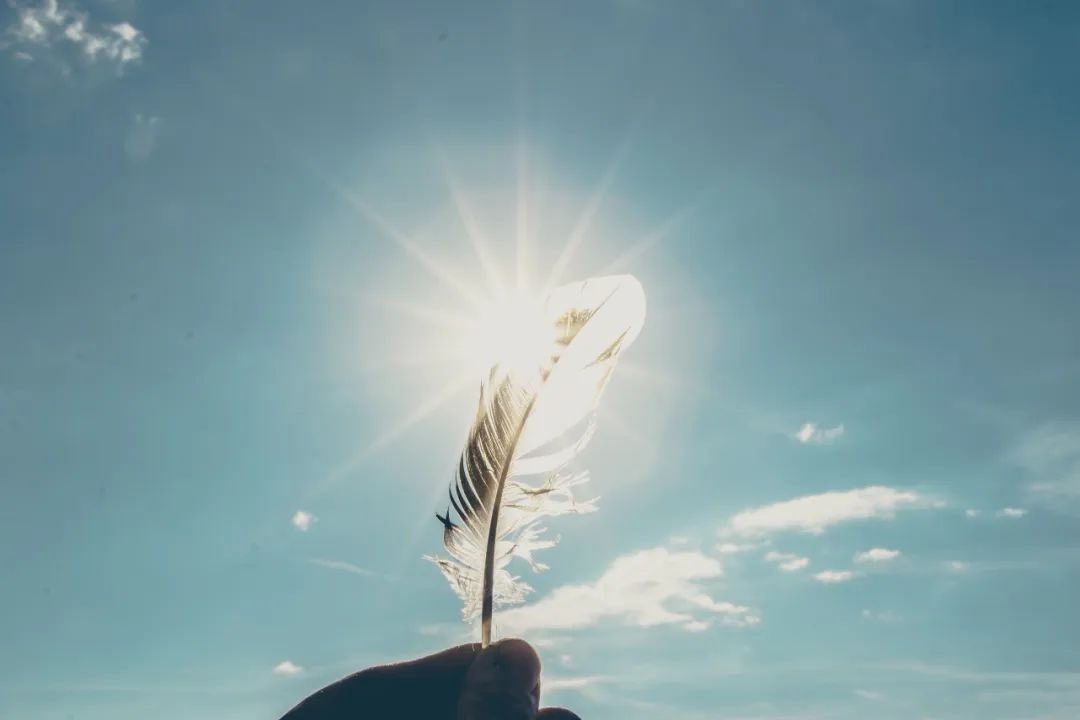 人生的驚喜大抵一半都藏在這四個字裡了