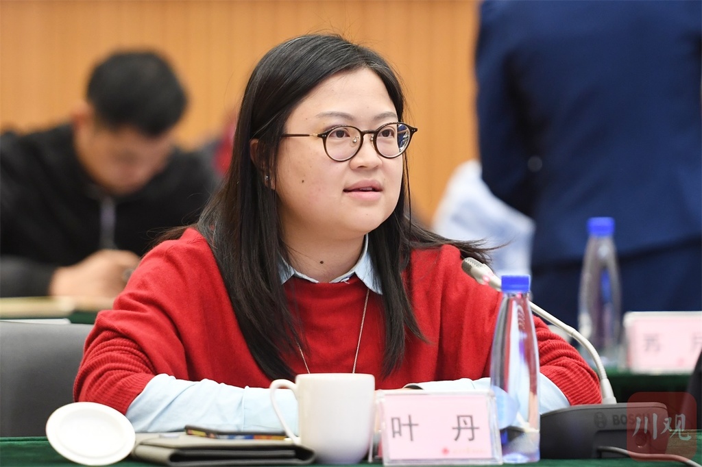 贯彻落实中央意见川观新闻举办了一个开门座谈会