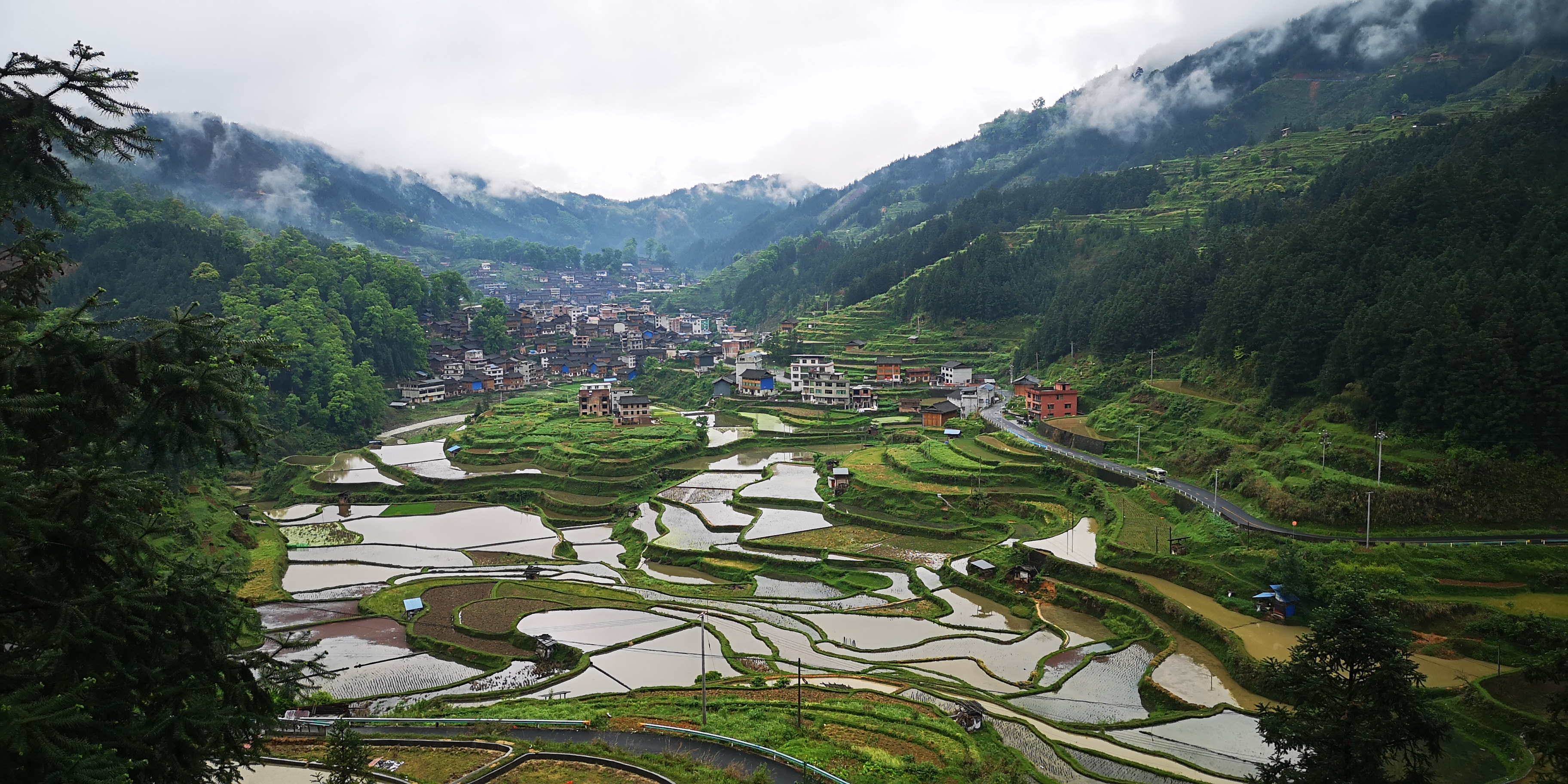 以书为种筑梦深山北京女孩在贵州山村筹建图书馆