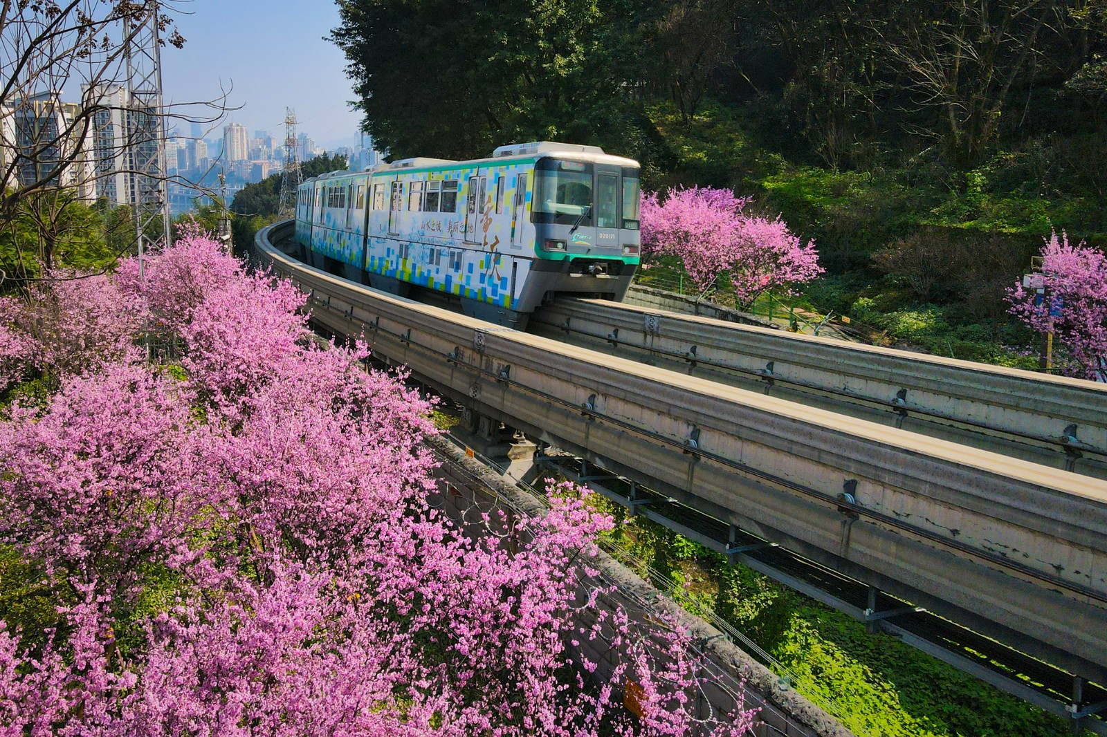 来了!开往春天的轨道列车