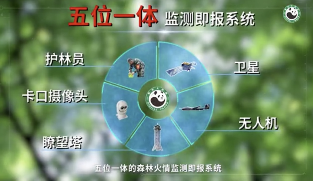 四川数字熊猫监测即报系统获联合国探路者奖