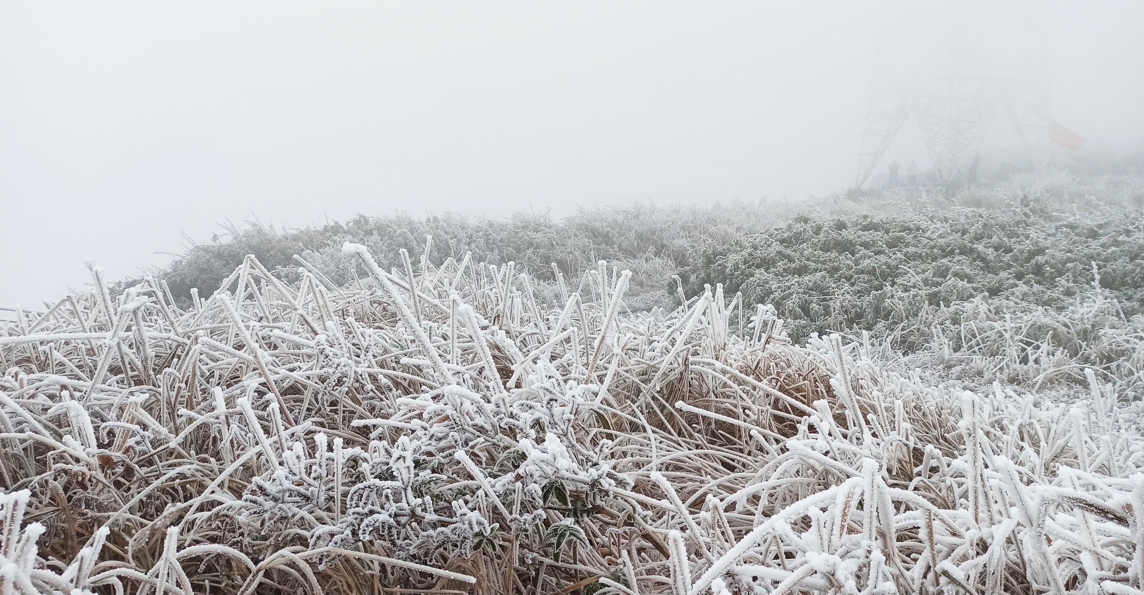 贵州启动气象灾害寒潮凝冻Ⅳ级应急响应