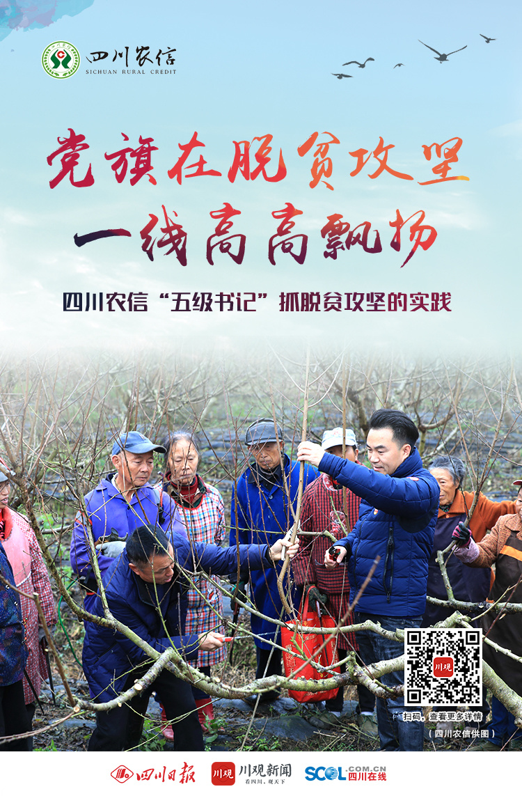 四川农信"五级书记"抓脱贫攻坚的实践(一) - 封面新闻