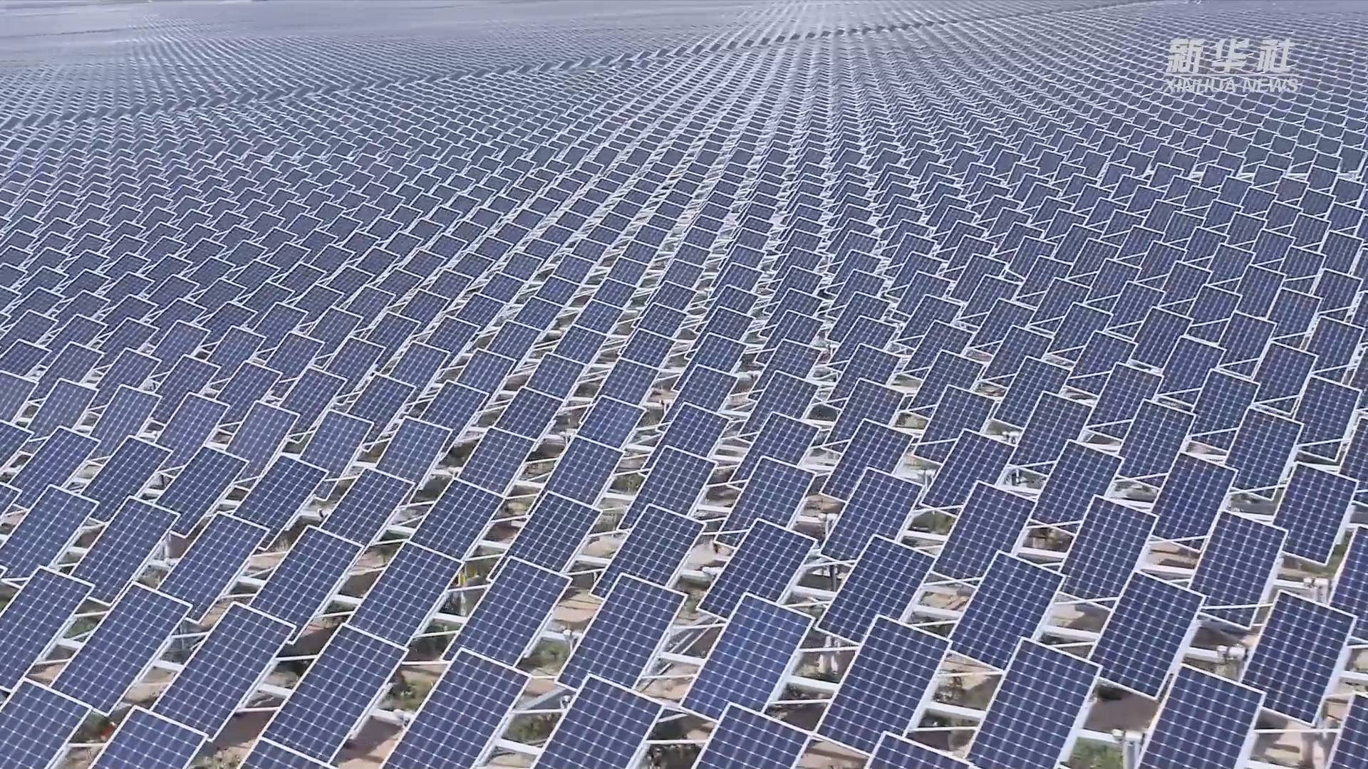 在阳光照射下,一块块光伏板将太阳能源源不断地转化为电能.