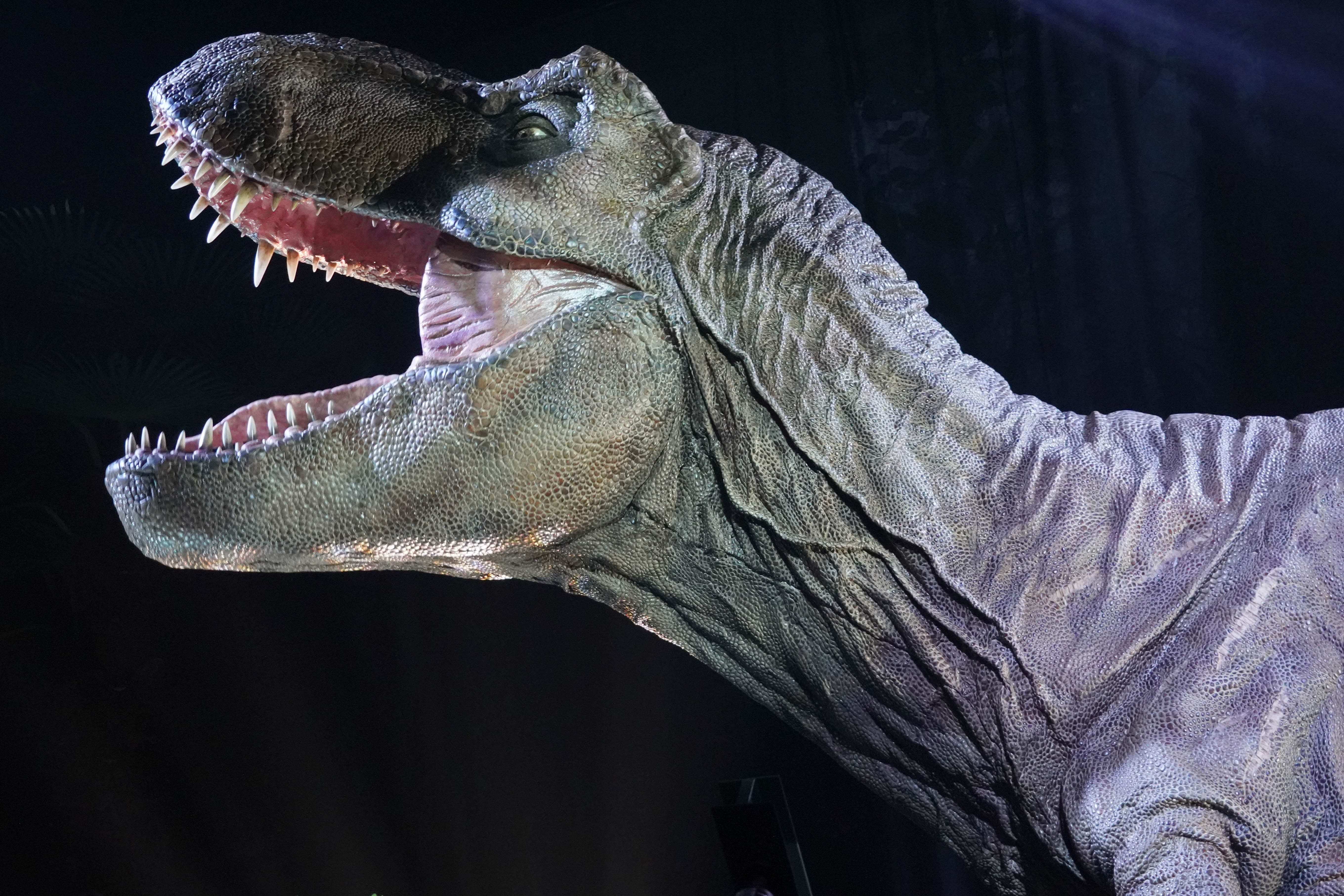 7月22日,小朋友在"侏罗纪世界电影特展"上观看恐龙宝宝模型.