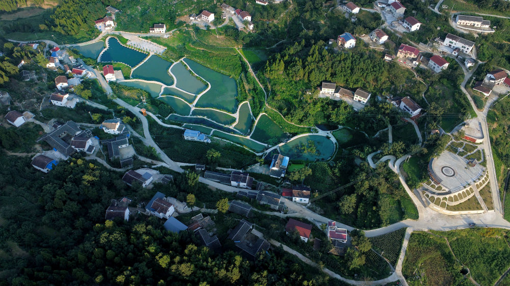 奋进五载硕果满枝四川省广元市朝天区经济社会发展五年回眸