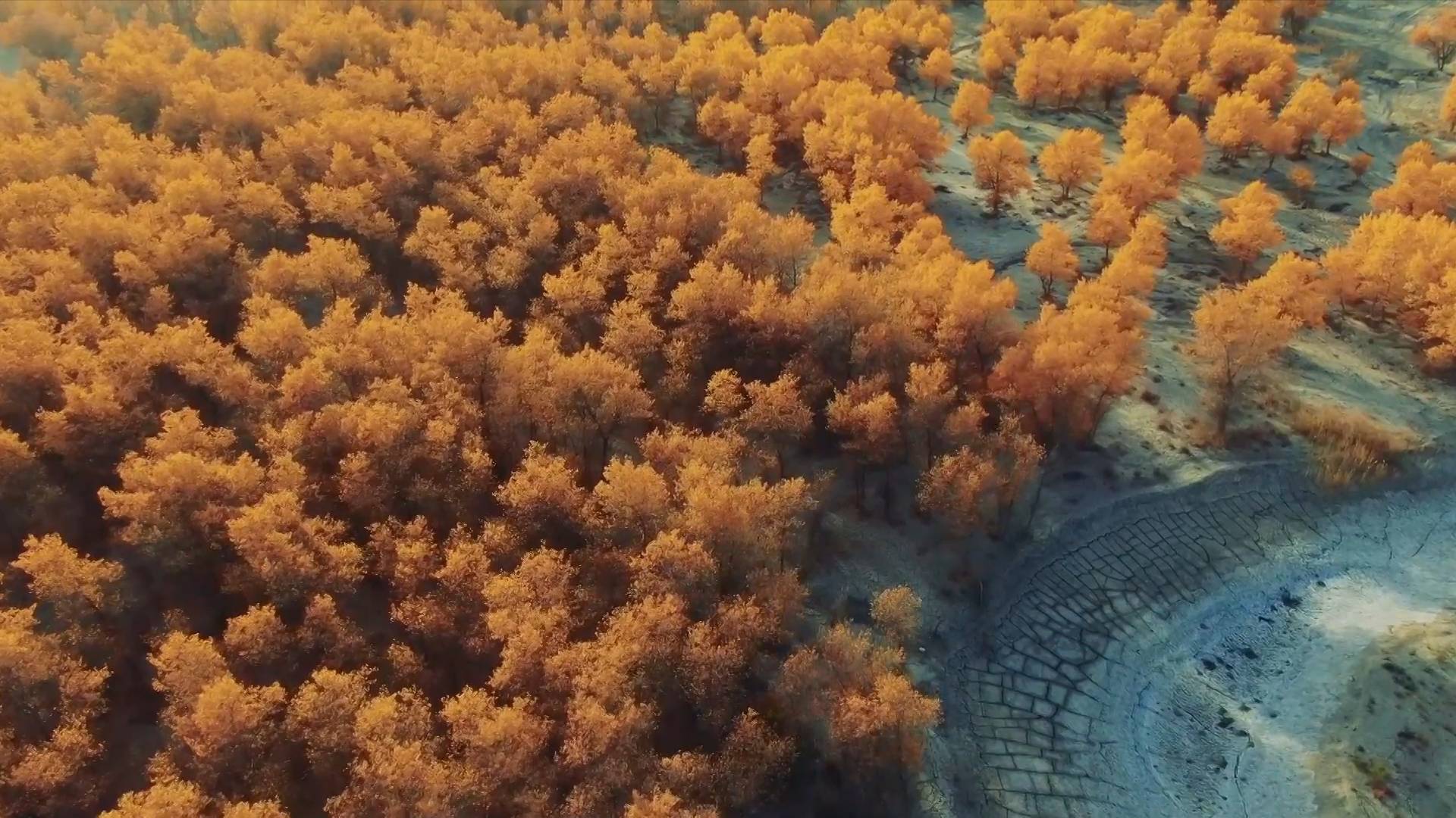 新疆墨玉河晚秋风景如画