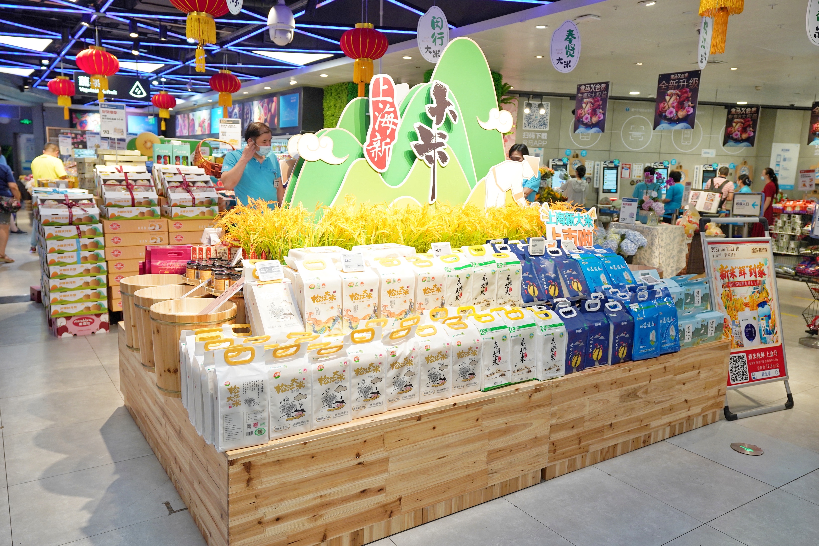 上海国庆新大米全面上市啦