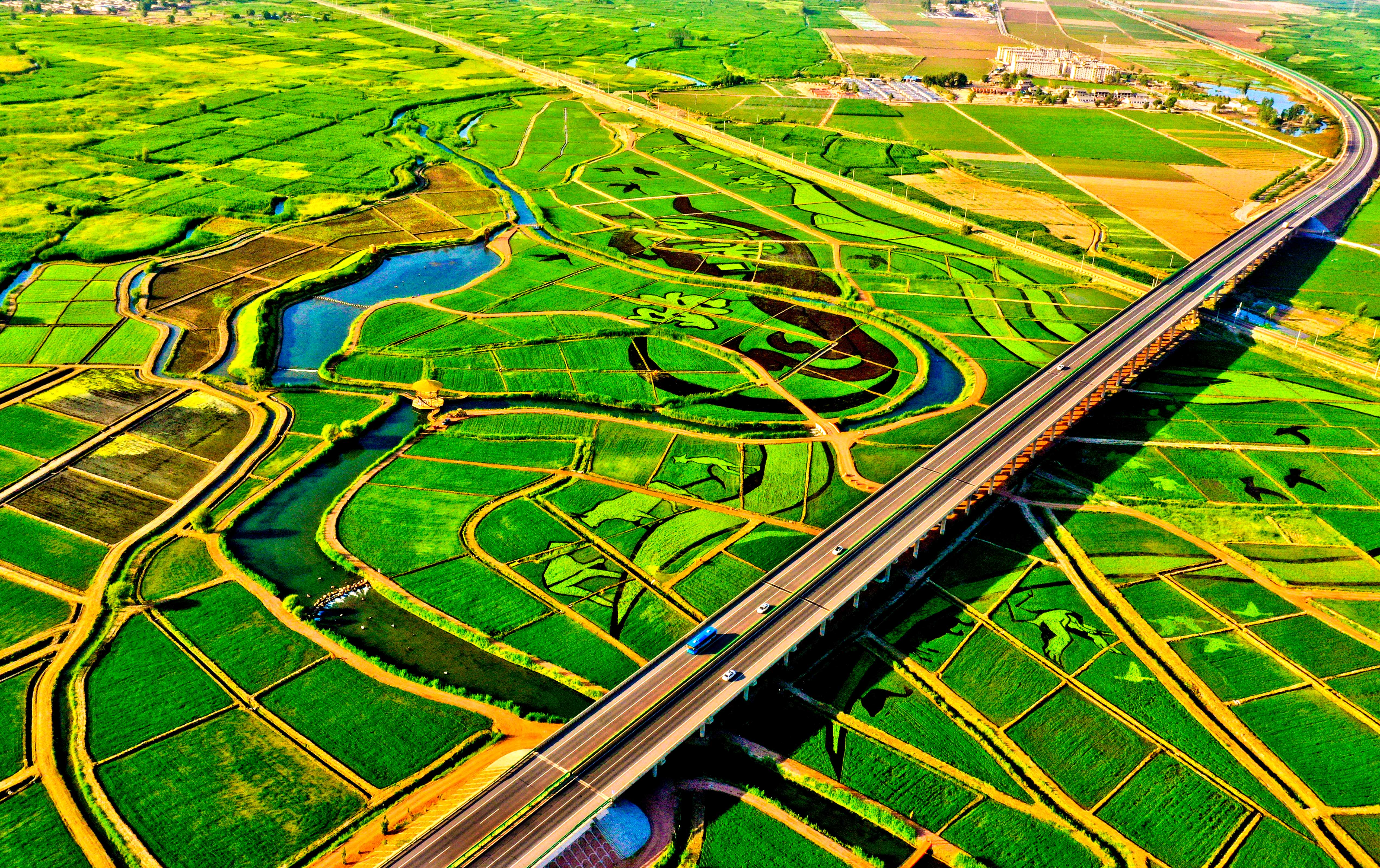 甘肃张掖田园现美景农田艺术画