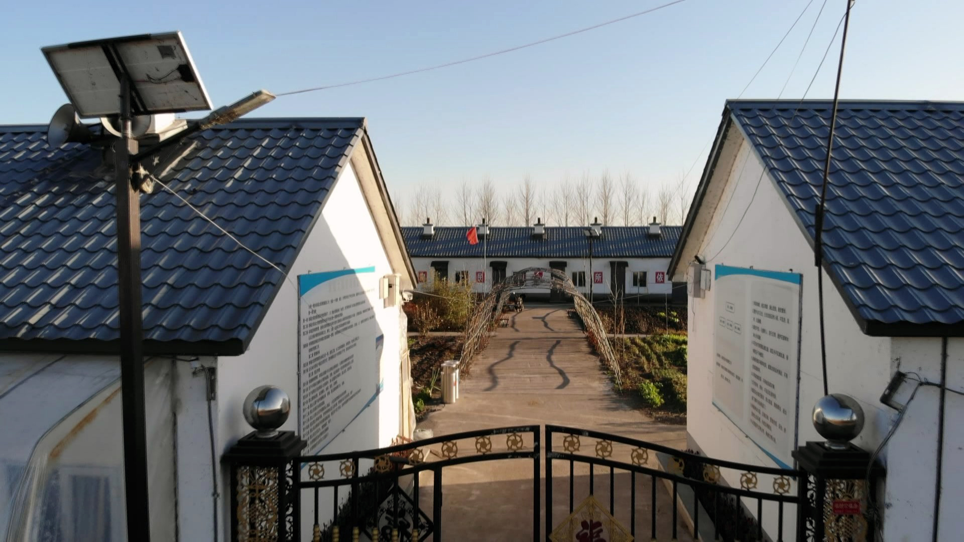 从暴风骤雨到乡村振兴黑土地上的工作队