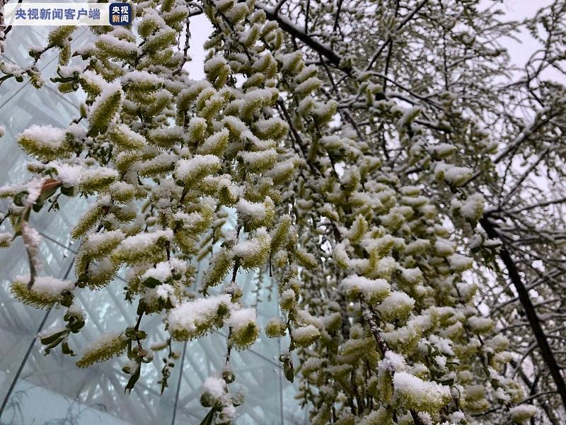 二月二拉薩迎春雪西藏多地將出現雨雪天氣