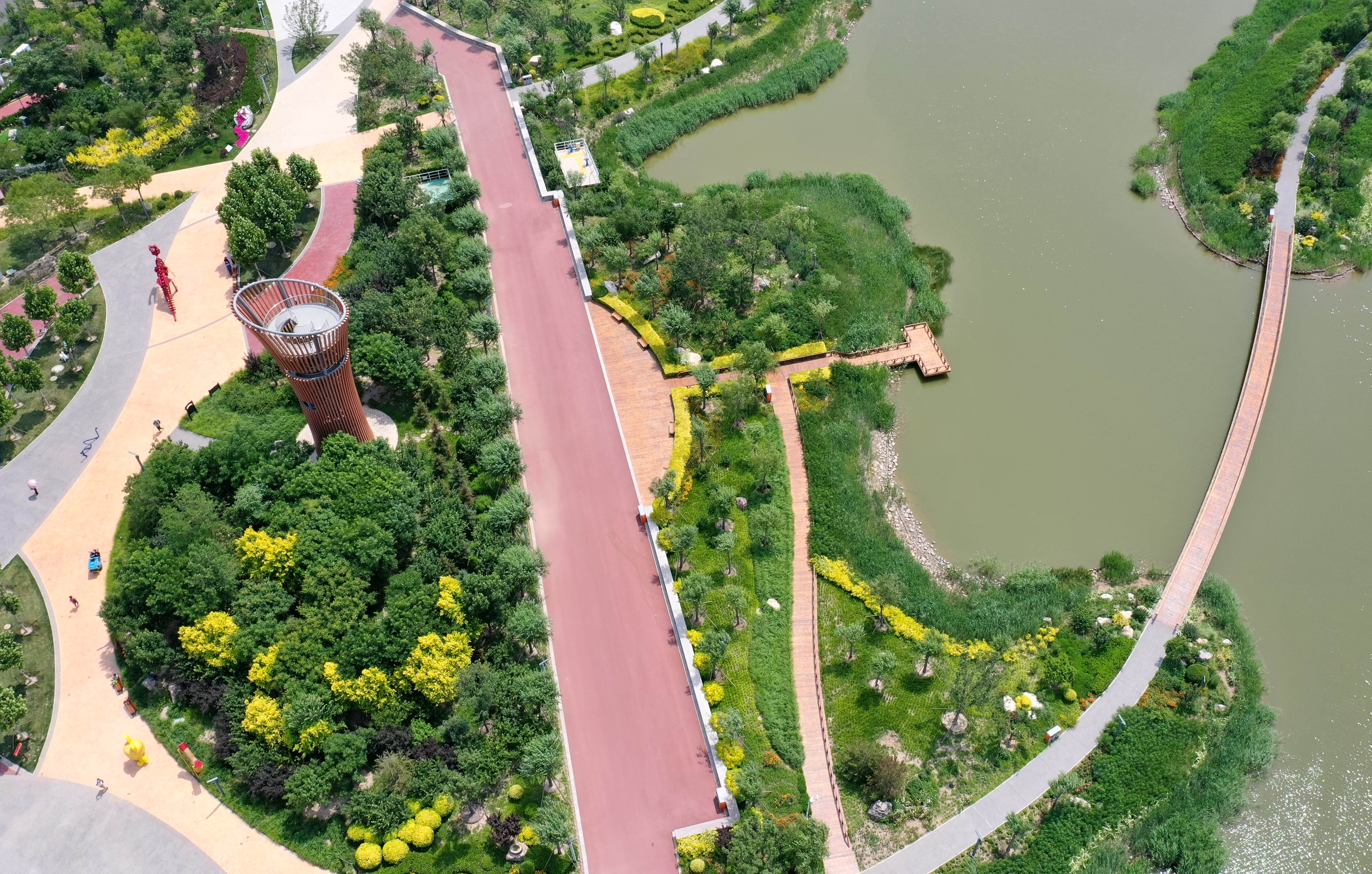 盐碱滩上崛起美丽滨城