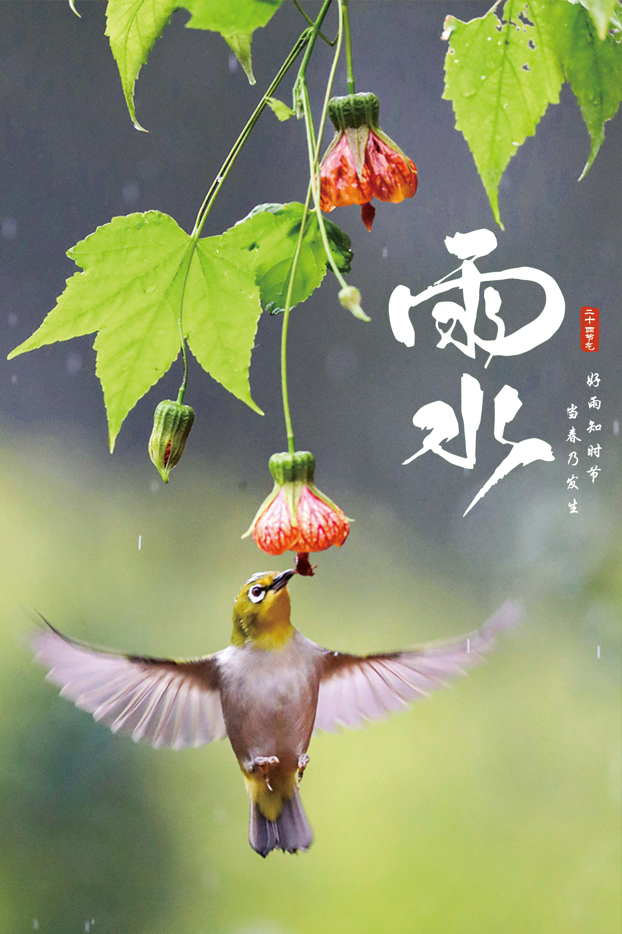 报节气|好雨知时节