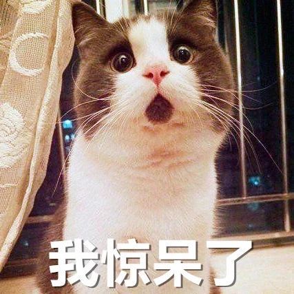 熊猫头表情包惊呆图片