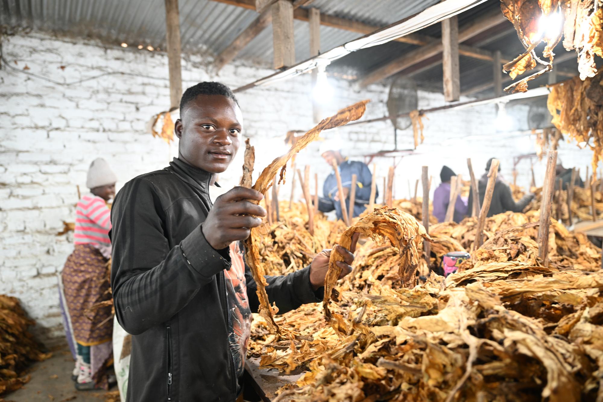 列国鉴丨记者观察：津巴布韦——不想回到“人人都是亿万富翁”的日子