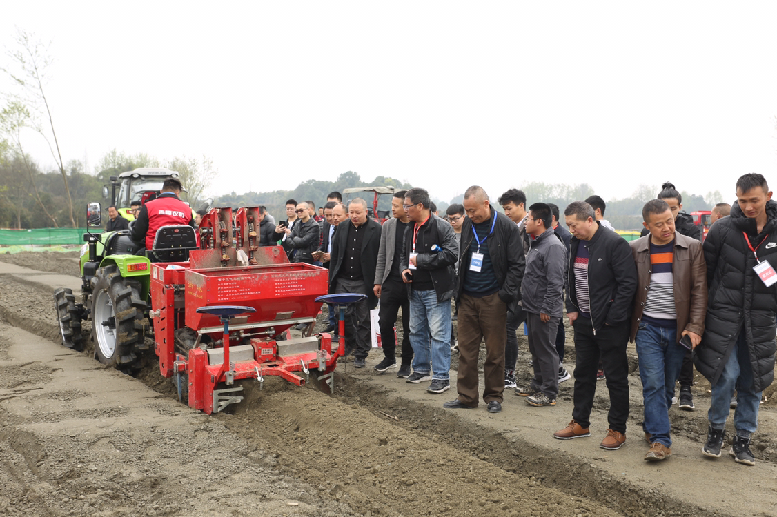 服务乡村振兴 成都这里创建四川省现代农业装