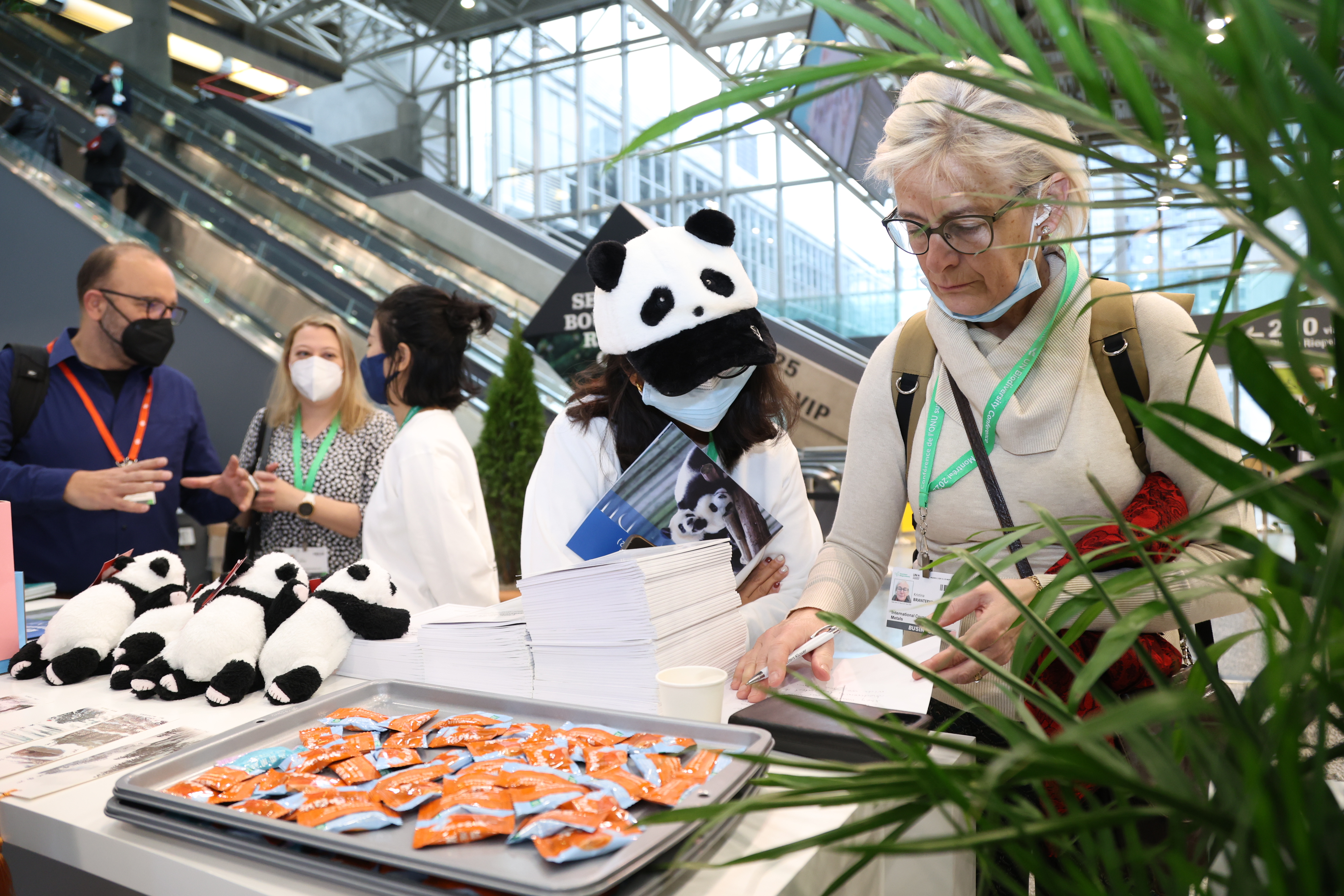 聚焦COP15中国角四川日：向世界讲述守护熊猫家园的四川故事 第 4 张