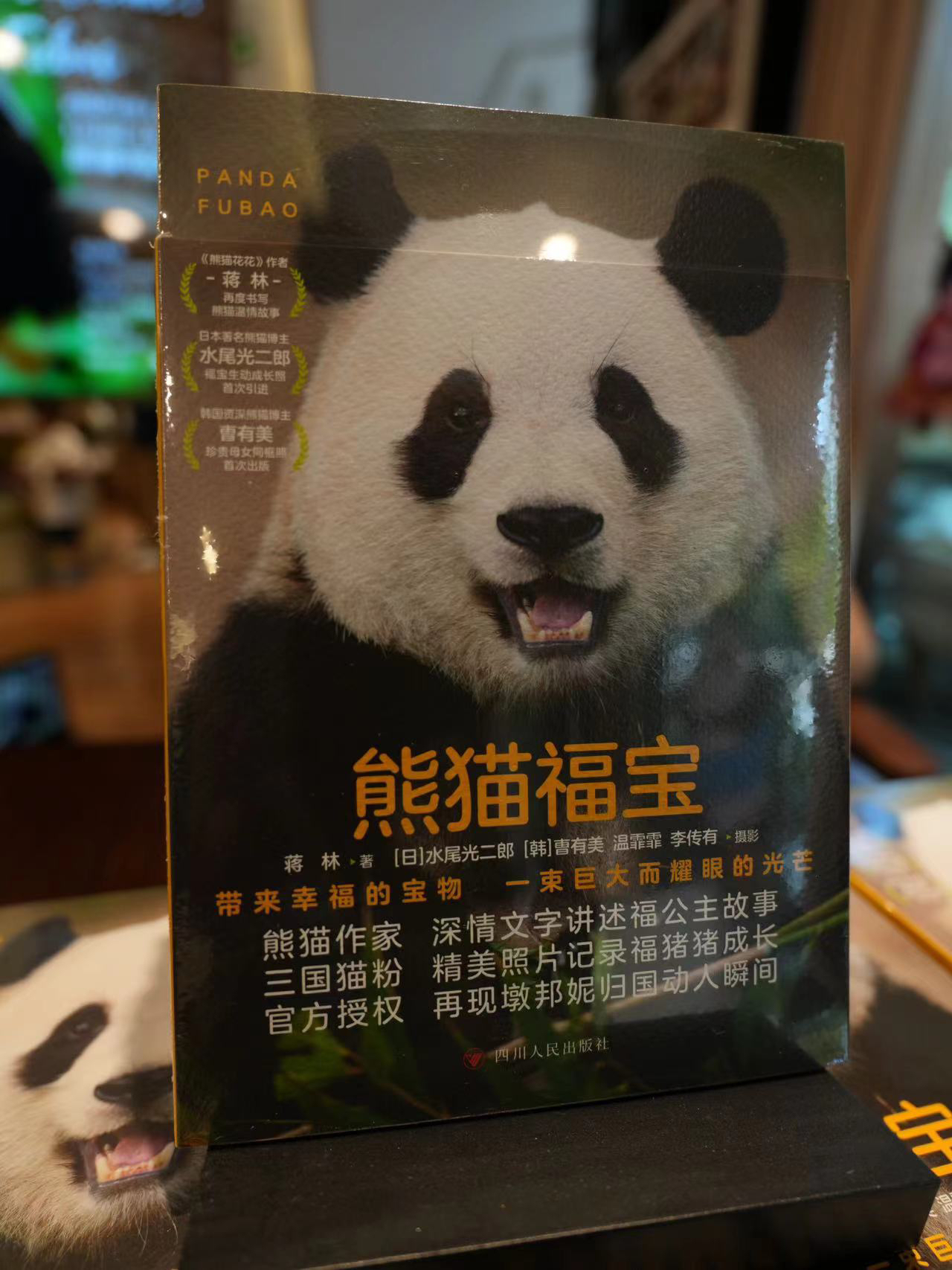 完整呈现“福宝”成长史“明星熊猫书系”《熊猫福宝》成都首发