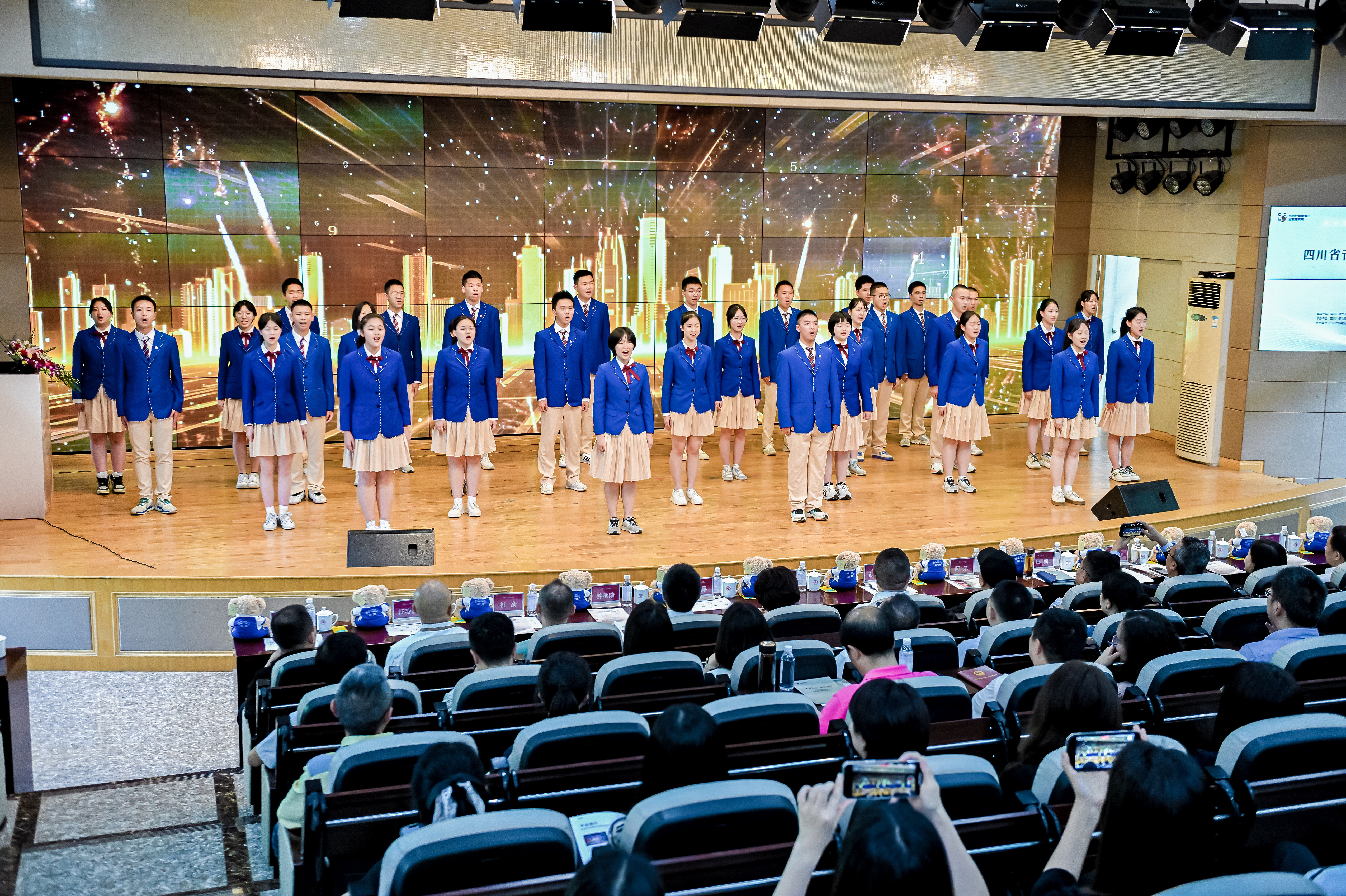 四川省青少年美育教育发展研讨会在蓉举行