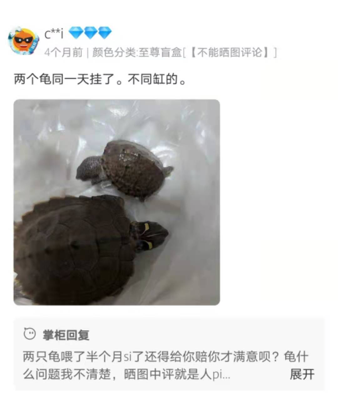 网售活体乌龟“盲盒”大热之下存隐忧活体动物运输如何保证规范检测？