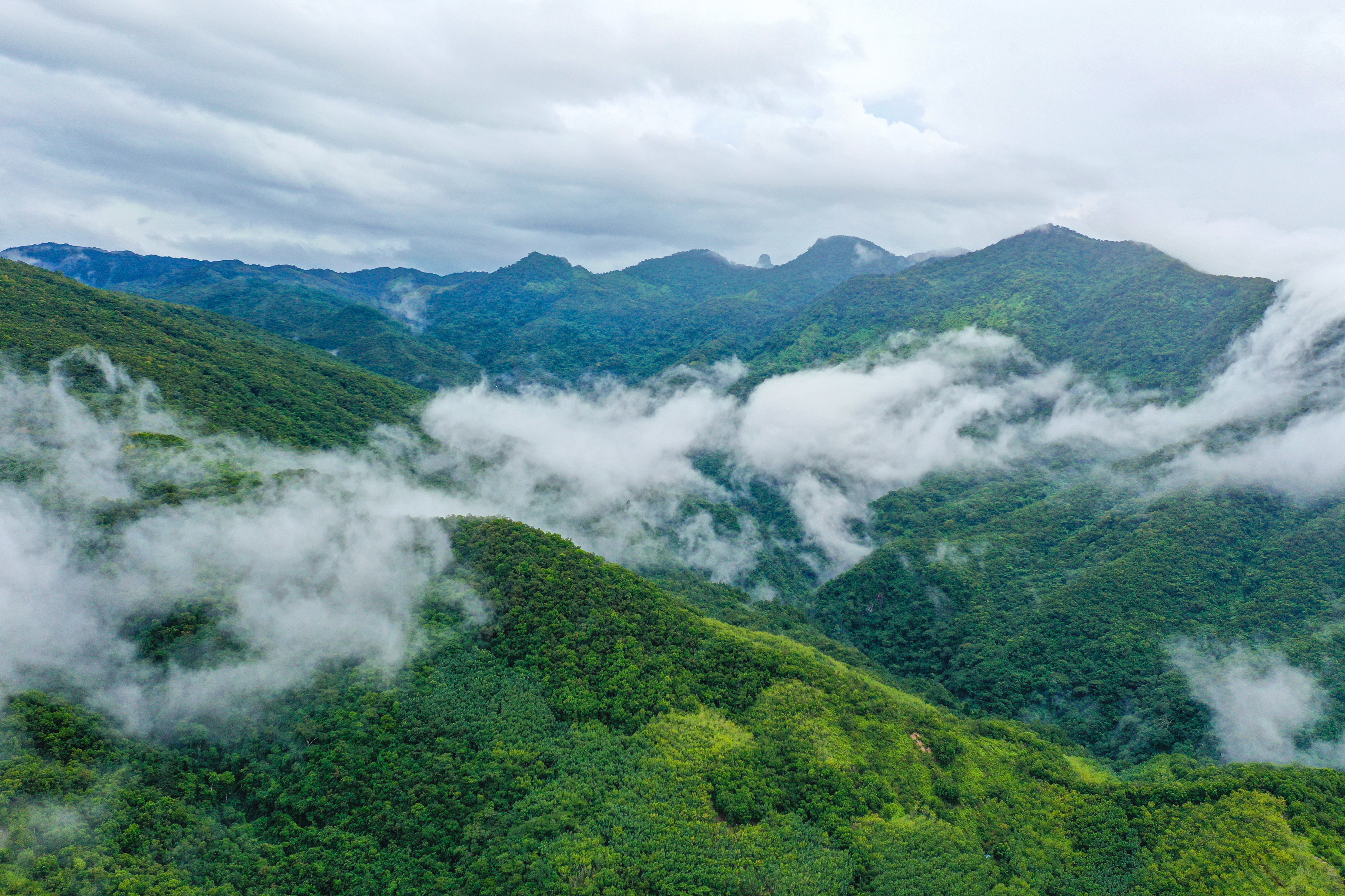 王程龙 摄夕阳余晖.王程龙 摄黎母山峰.王程龙 摄山高谷深.