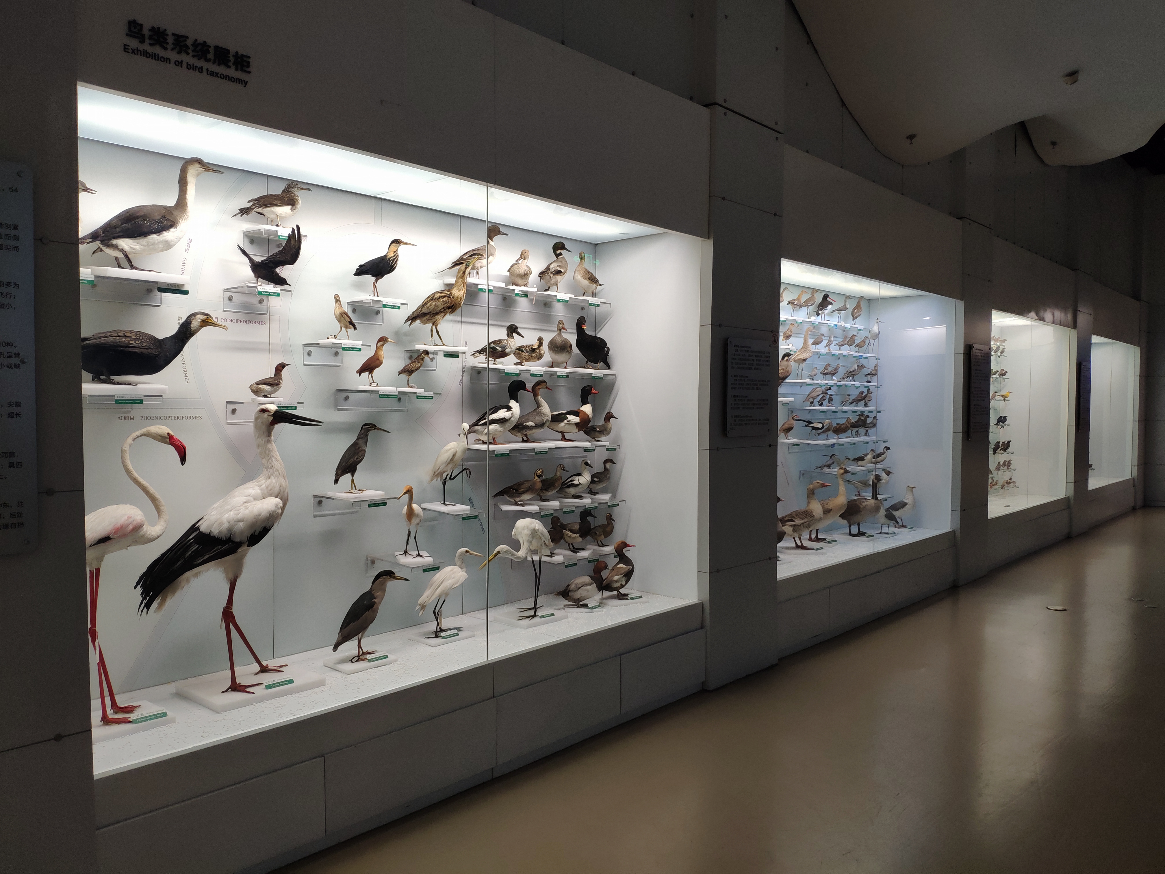 博物馆奇妙之旅丨走一起去这座了不起的动物博物馆看看