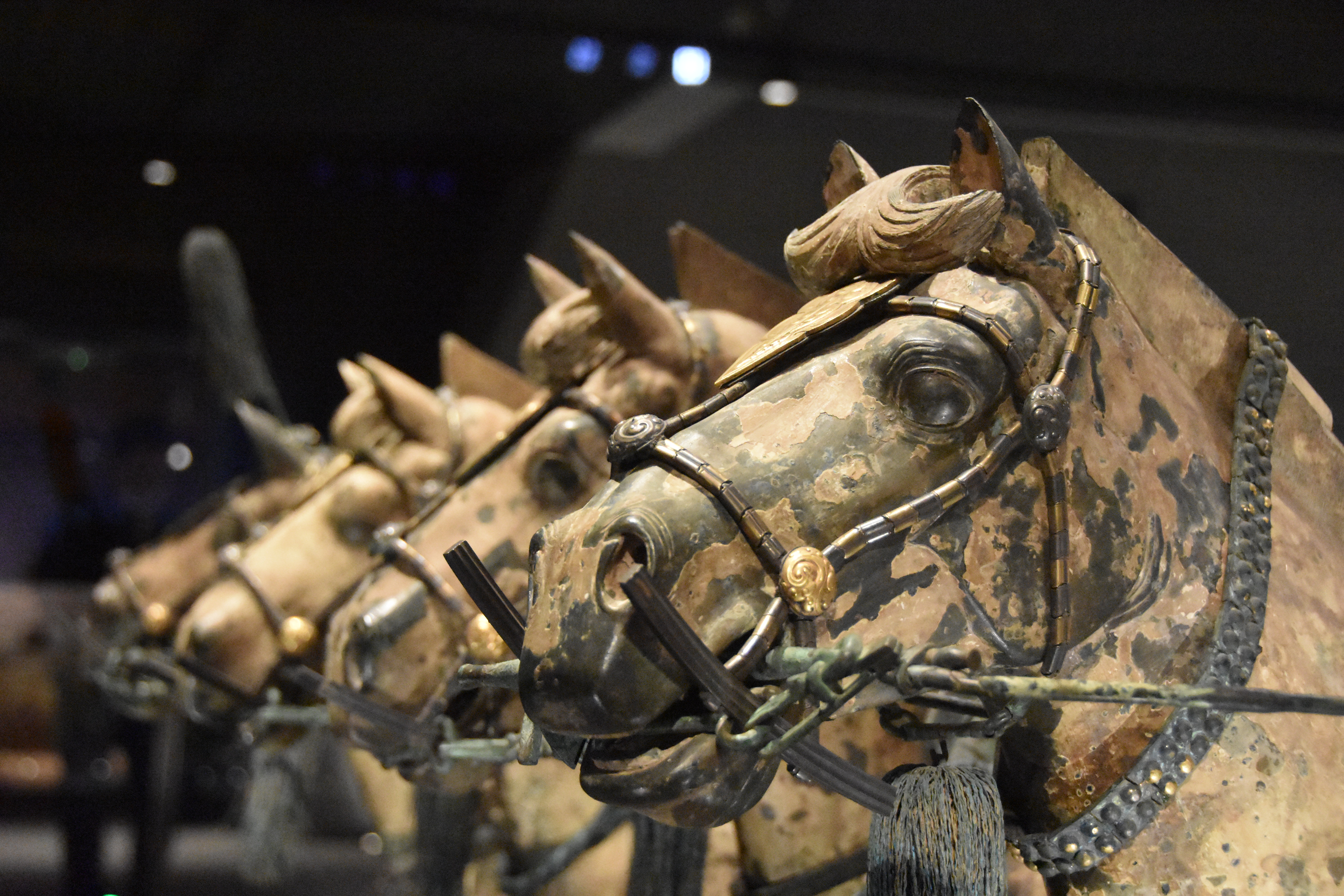 秦陵铜车马新家正式对外开放