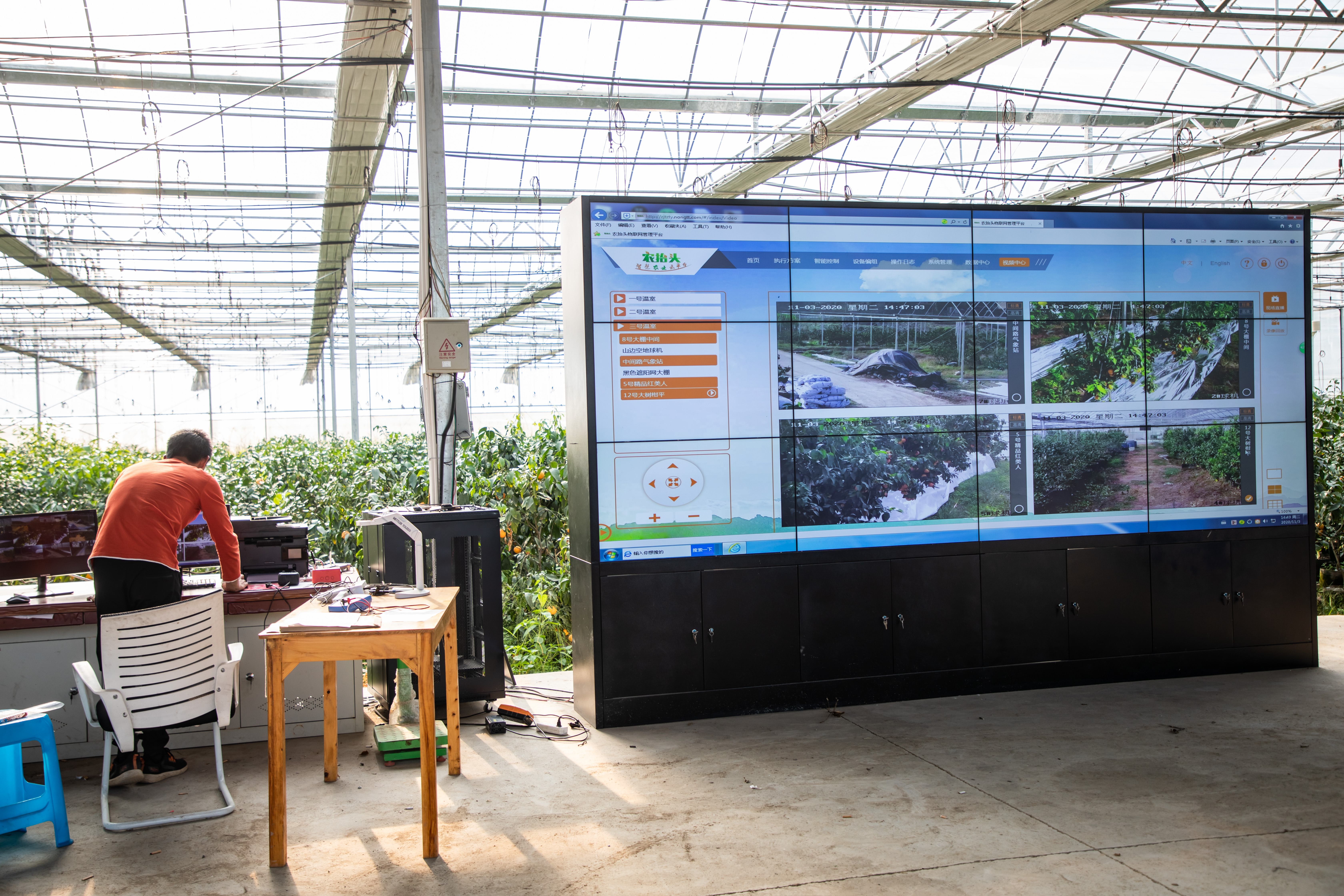 监管,服务,治理等五大领域,浙江正加快推进农业产业链的全过程数字化