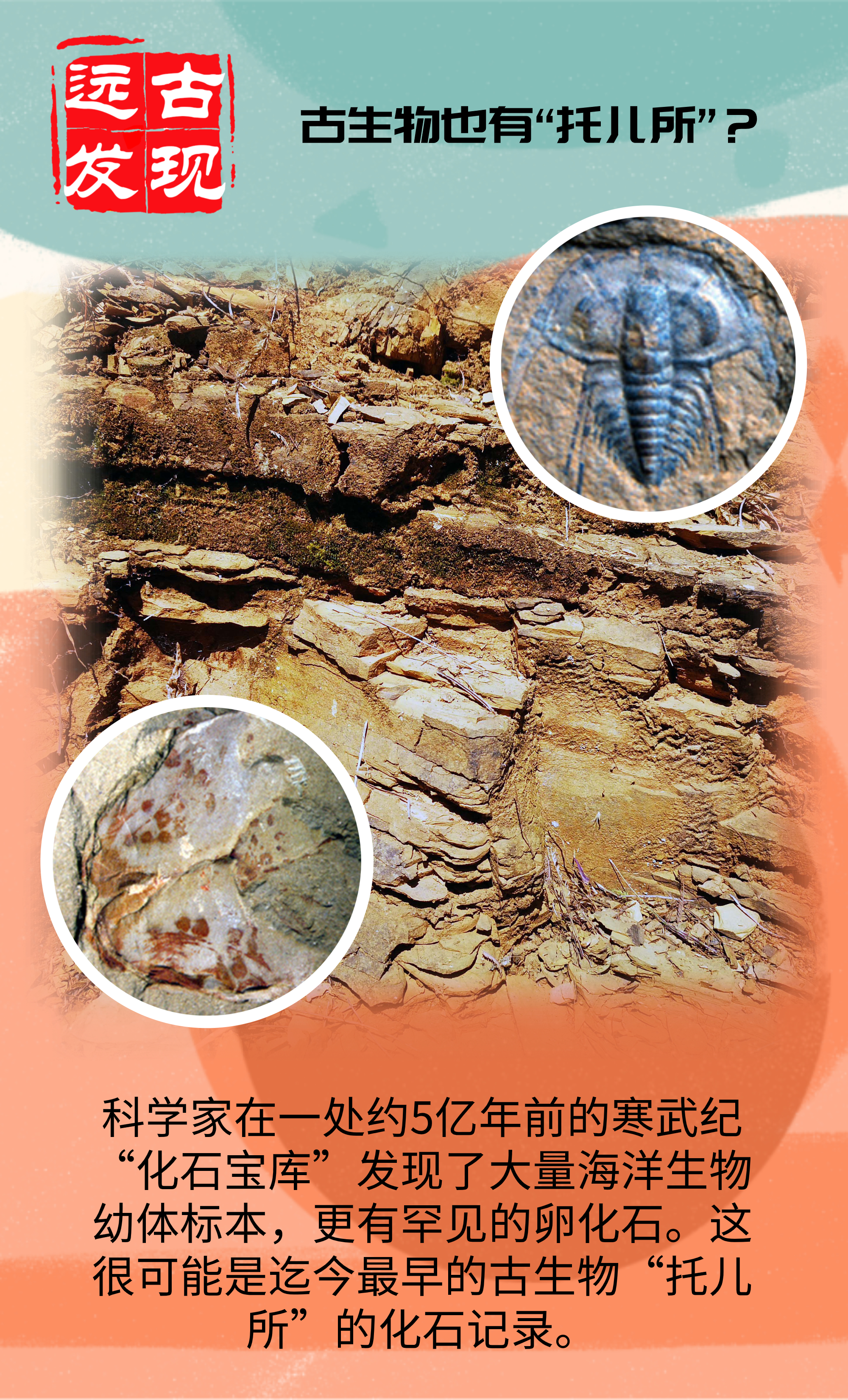 远古发现丨古生物也有托儿所