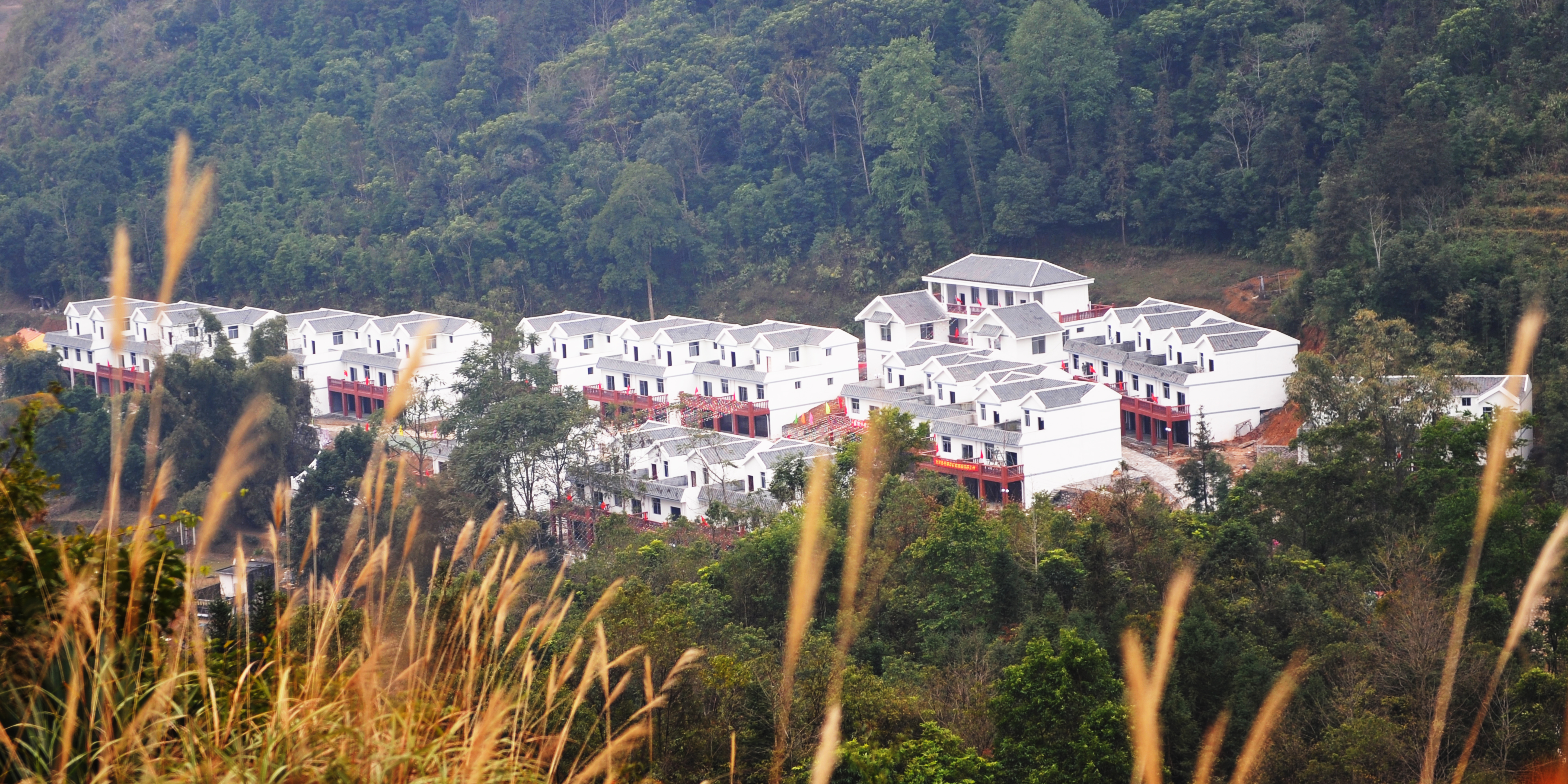 龙邦镇护龙村排干屯全貌(龙邦镇供图)在充分利用口岸优势发展贸易同时