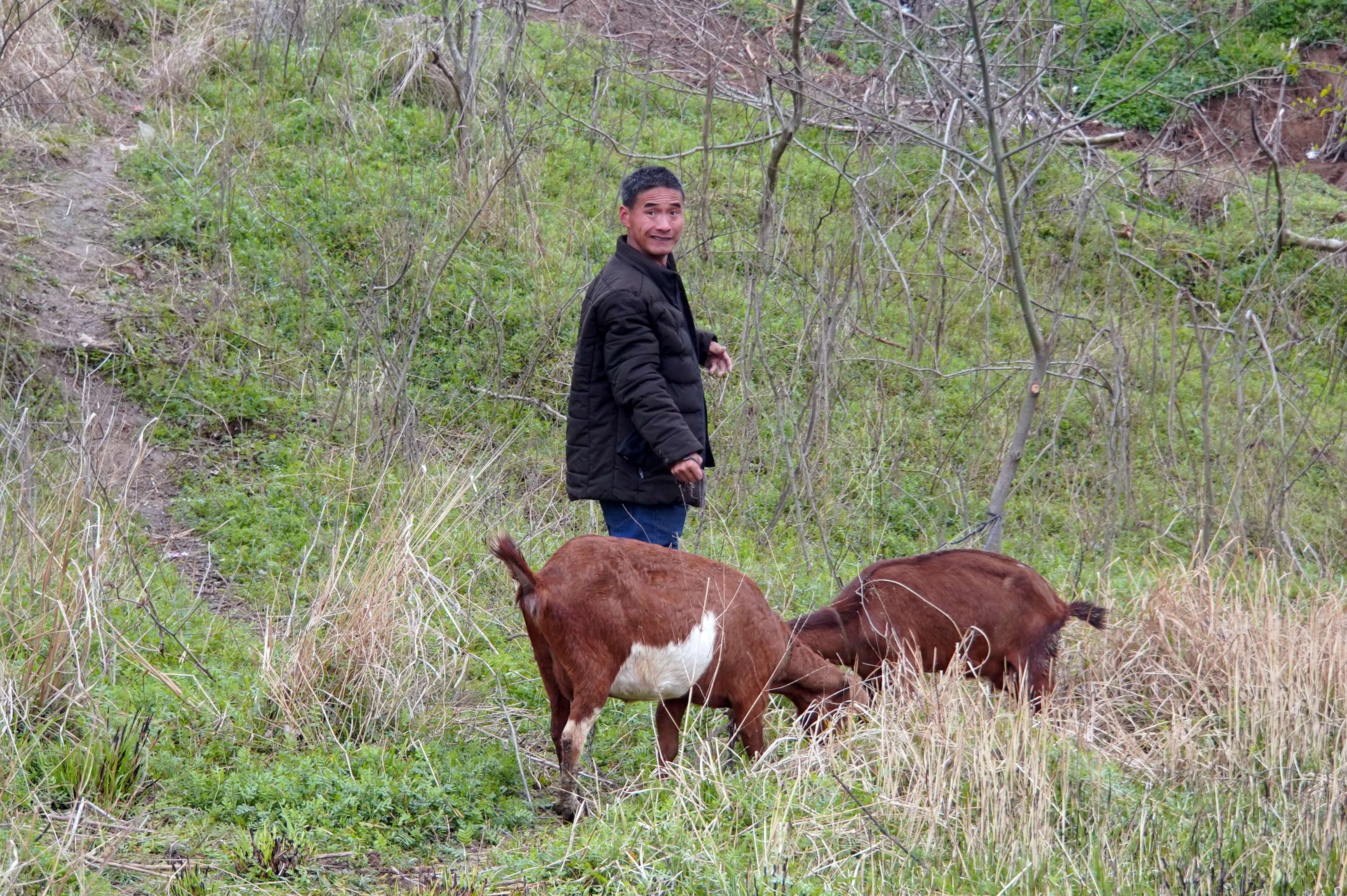 放羊诗人李松山把羊群赶上冈坡把诗歌留给生活