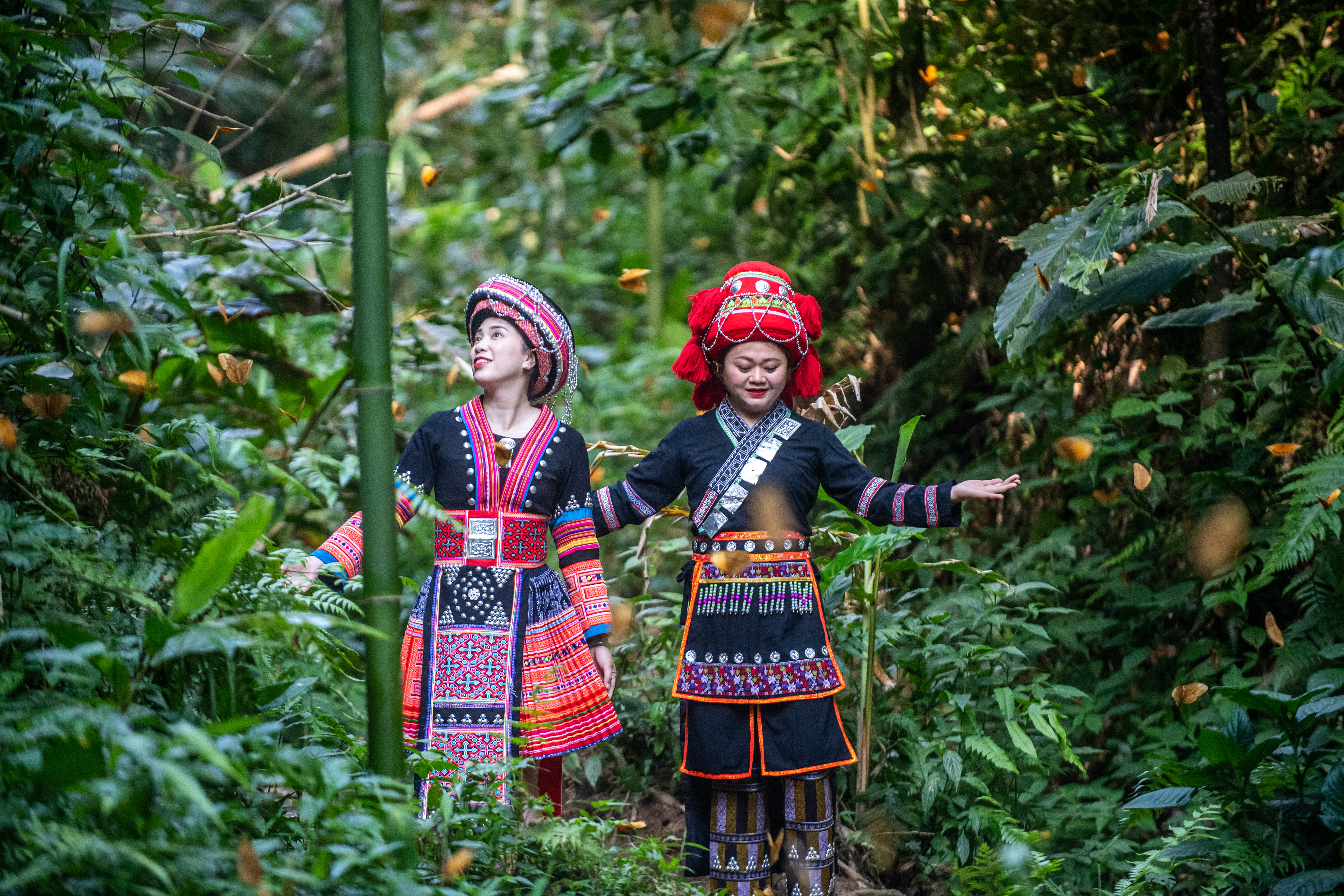 位于云南省红河哈尼族彝族自治州的中国·红河蝴蝶谷常年温暖湿润,"一