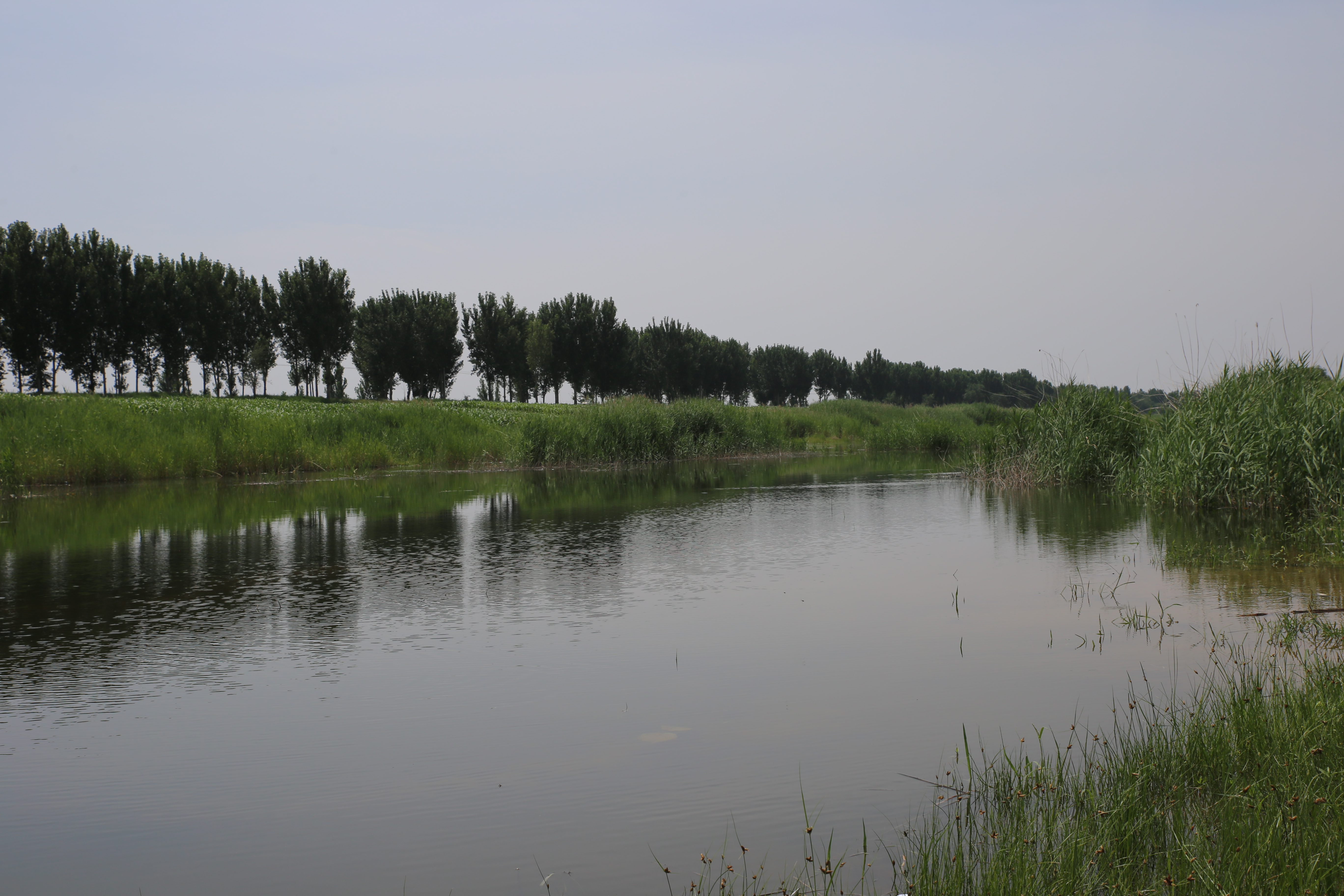 今夏滹沱河大清河完成221亿立方米生态补水