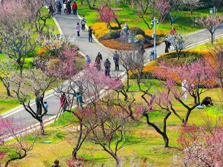 春节假日天气：大部地区气温偏高 前期后期降水降温