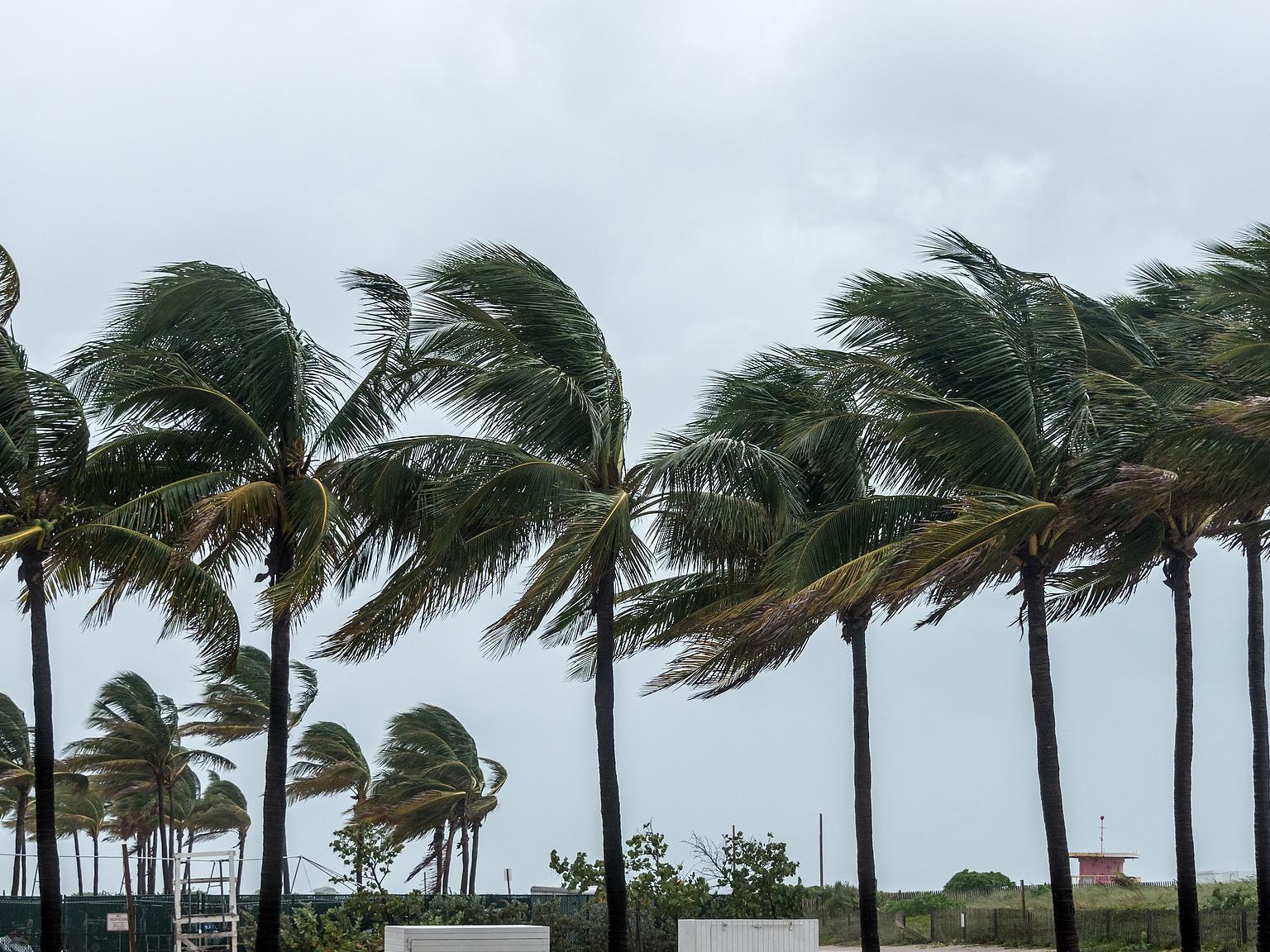 “红霞”即将登陆！交通运输部启动强降雨一级防御响应、维持台风二级防御响应