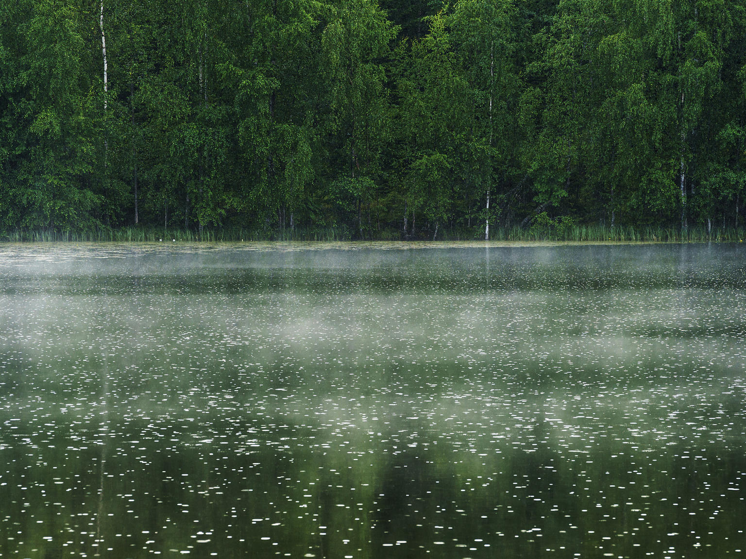 新一轮降雨已在路上，未来10天这些地方将是降雨核心区