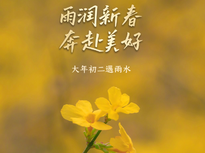 大年初二 回门贺岁 新春新气象，一马当先启新程