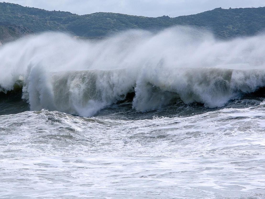 台风“白海豚”或影响上海 多地启动防台应急响应