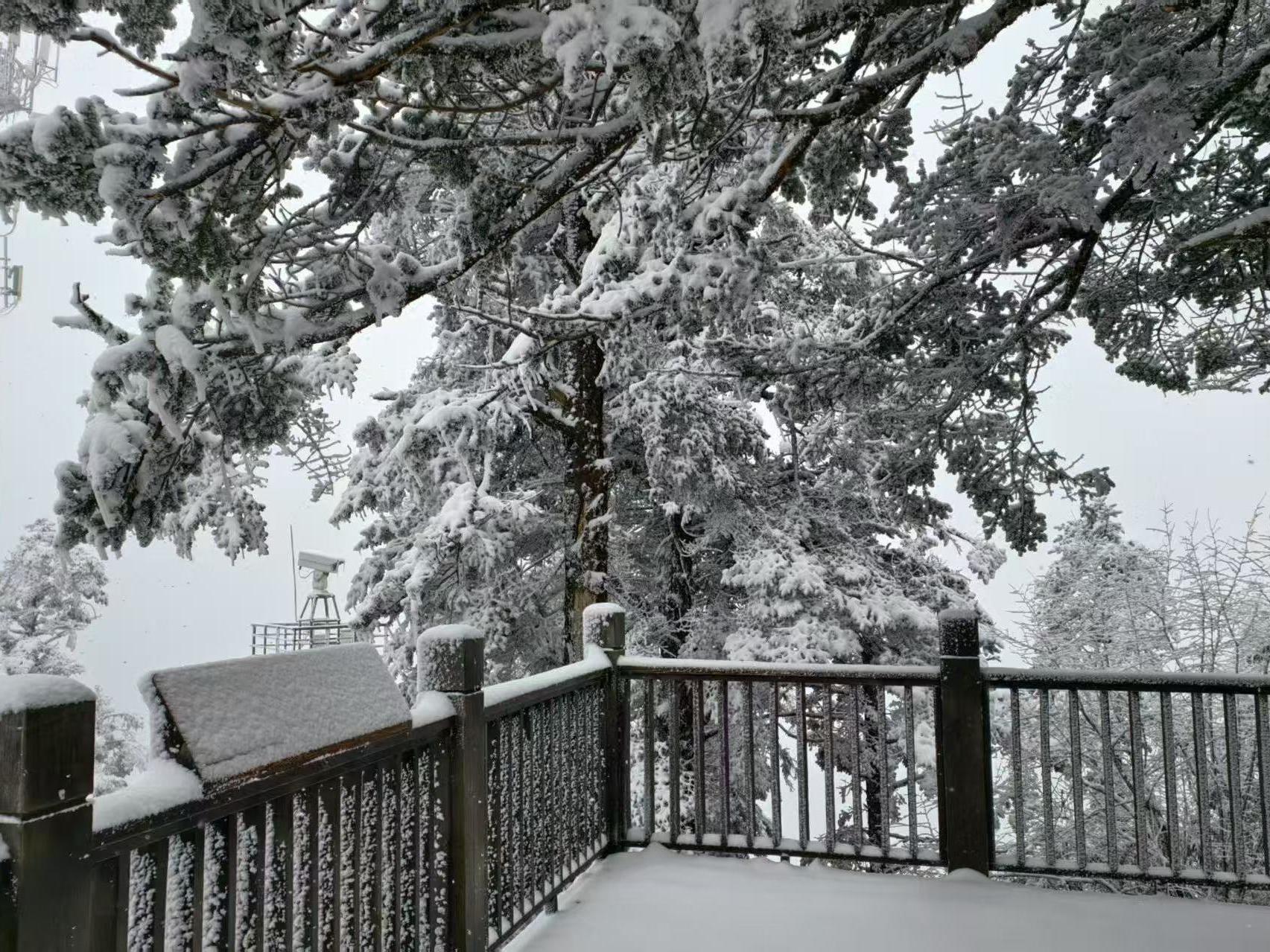 暴雪+冻雨+大降温 新一轮大范围雨雪明起拉开序幕
